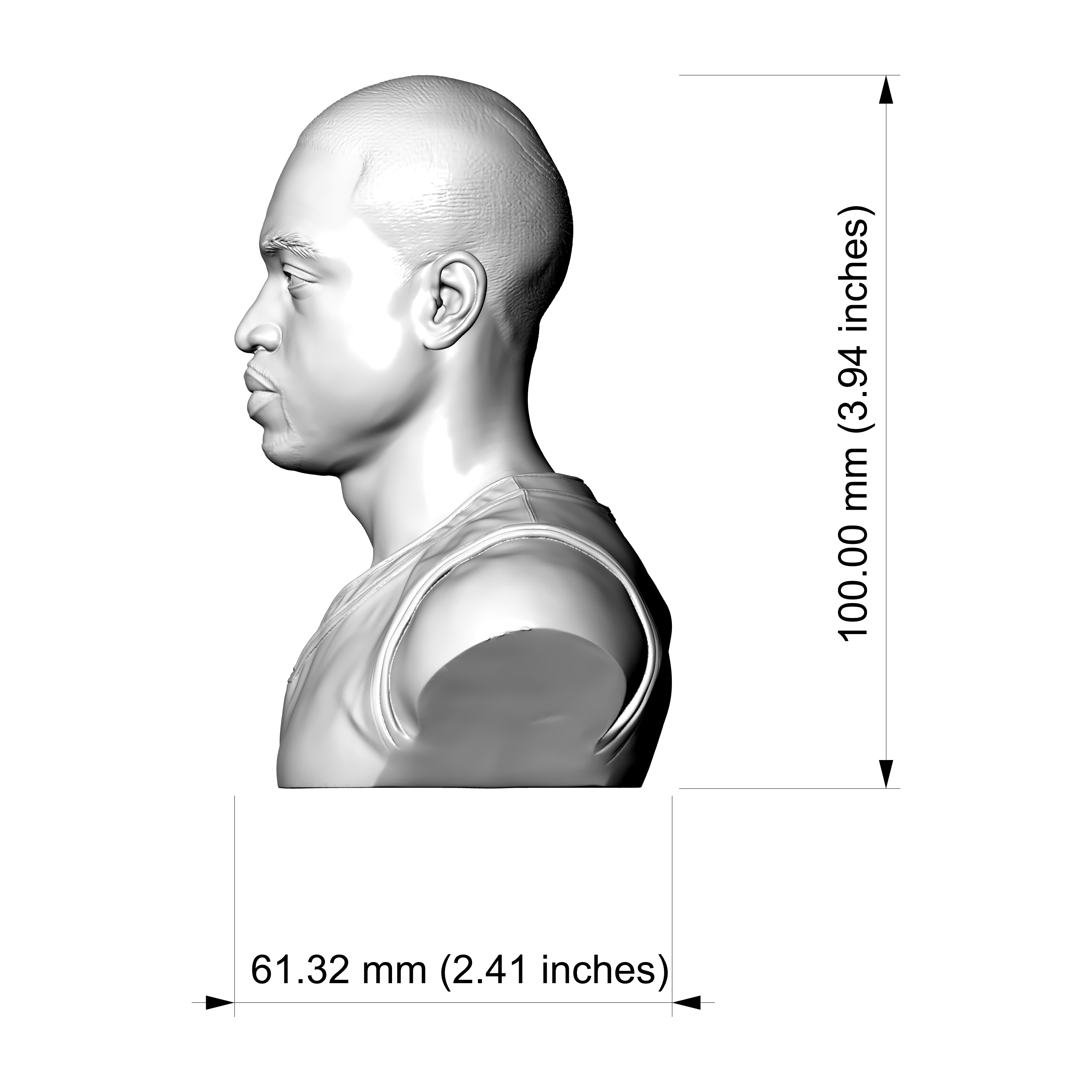 Dwyane Wade 3D Printable Bust 3D Model