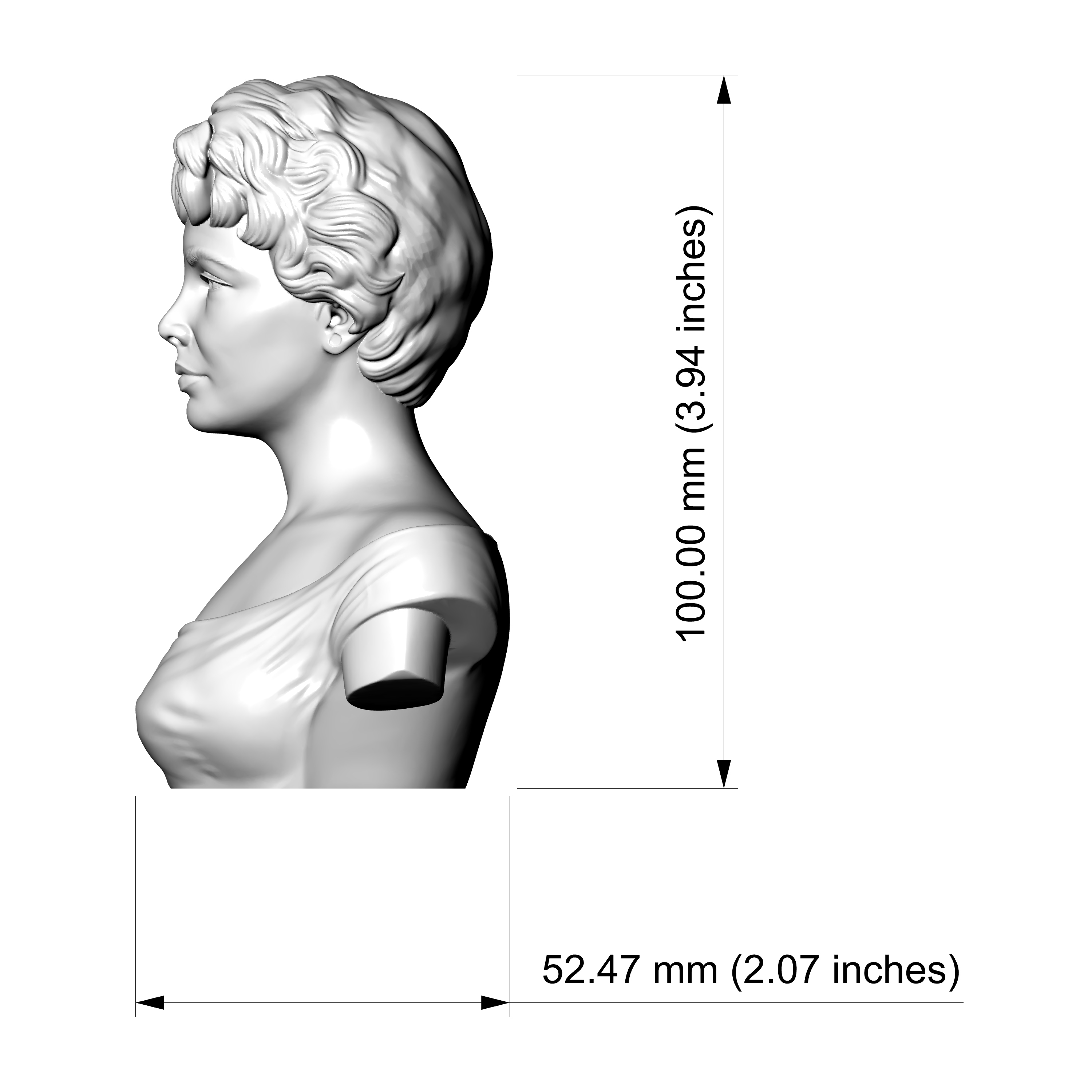 Elizabeth Taylor 3D Printable Bust 3D Model