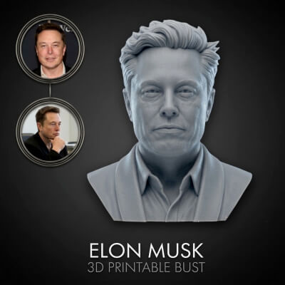 Elon Musk 3D Printable Bust