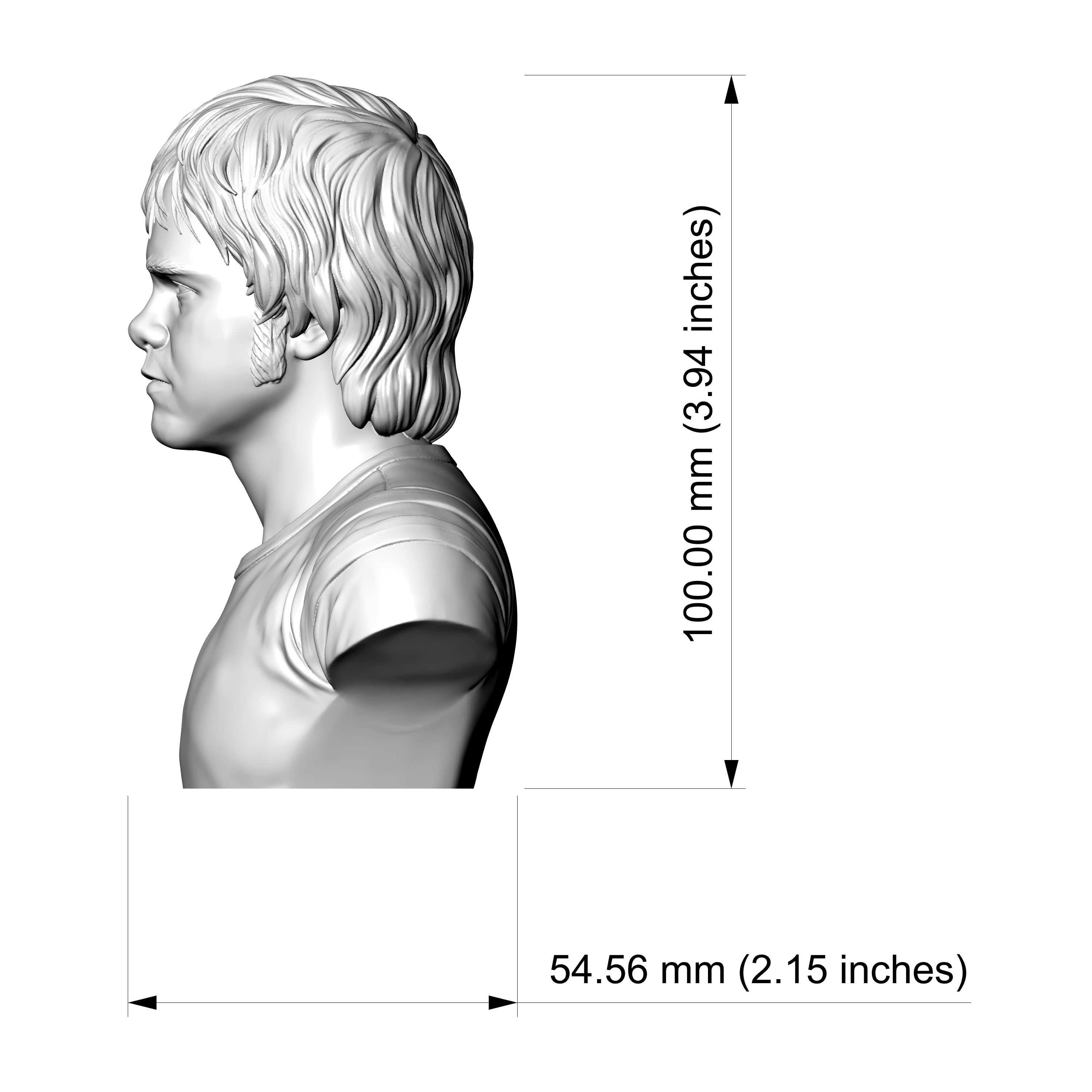 Elton John 3D Printable Bust 3D Model
