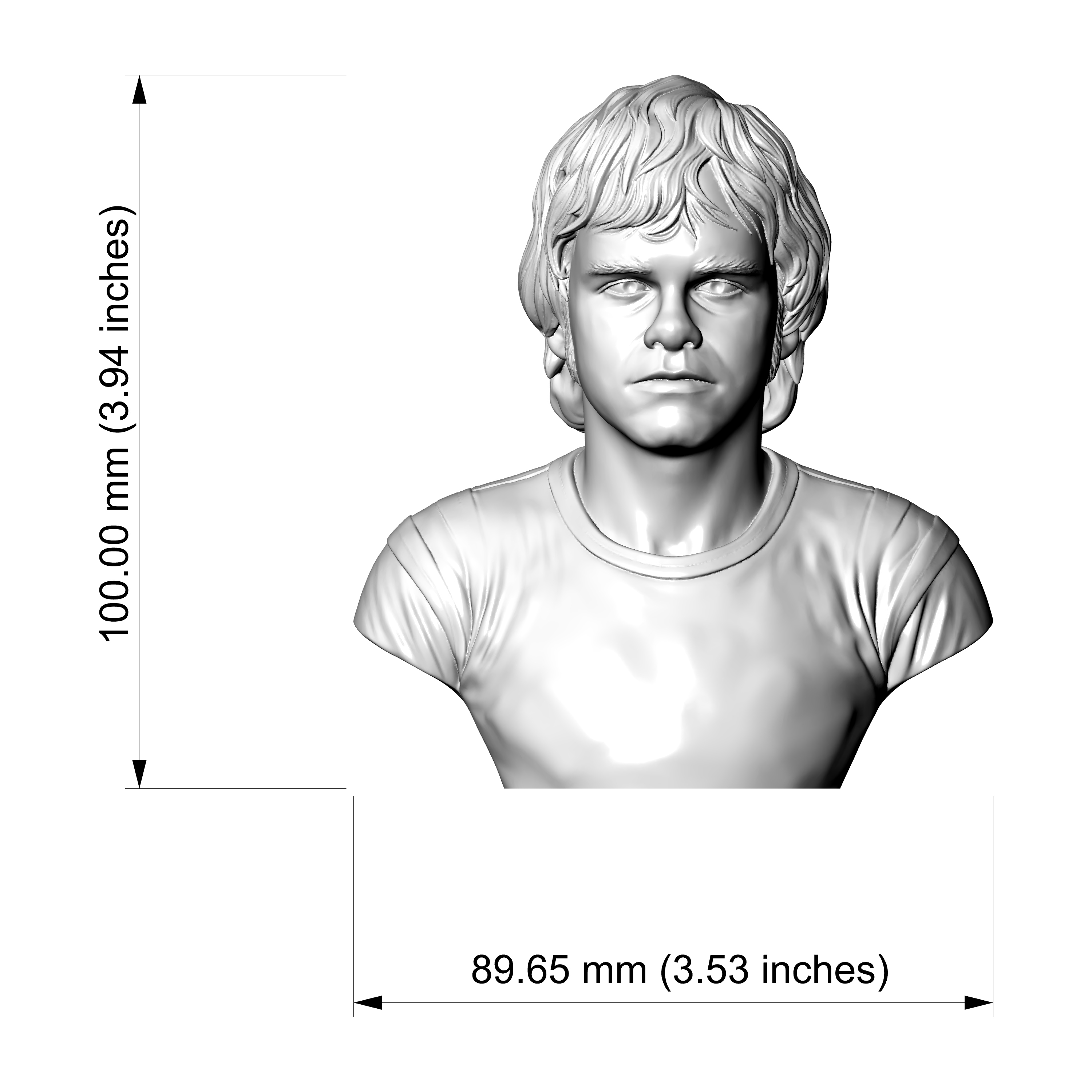 Elton John 3D Printable Bust 3D Model