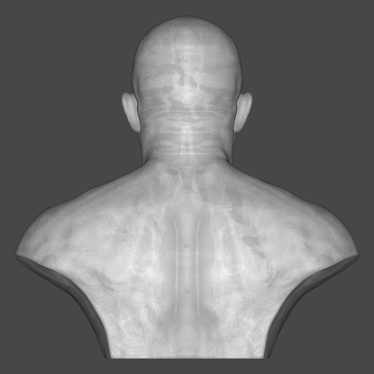 Fedor Emelianenko 3D Printable Bust 3D Model