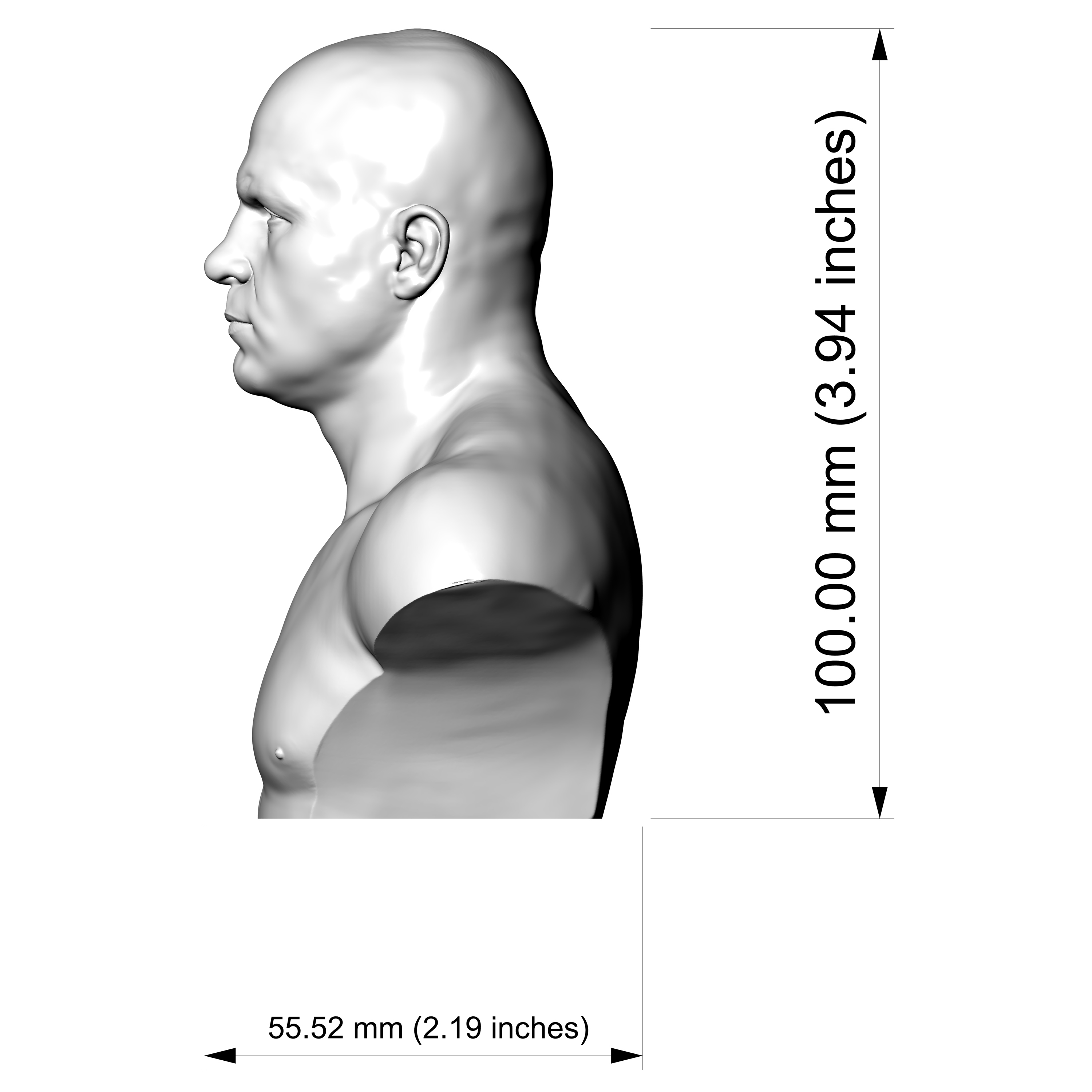 Fedor Emelianenko 3D Printable Bust 3D Model