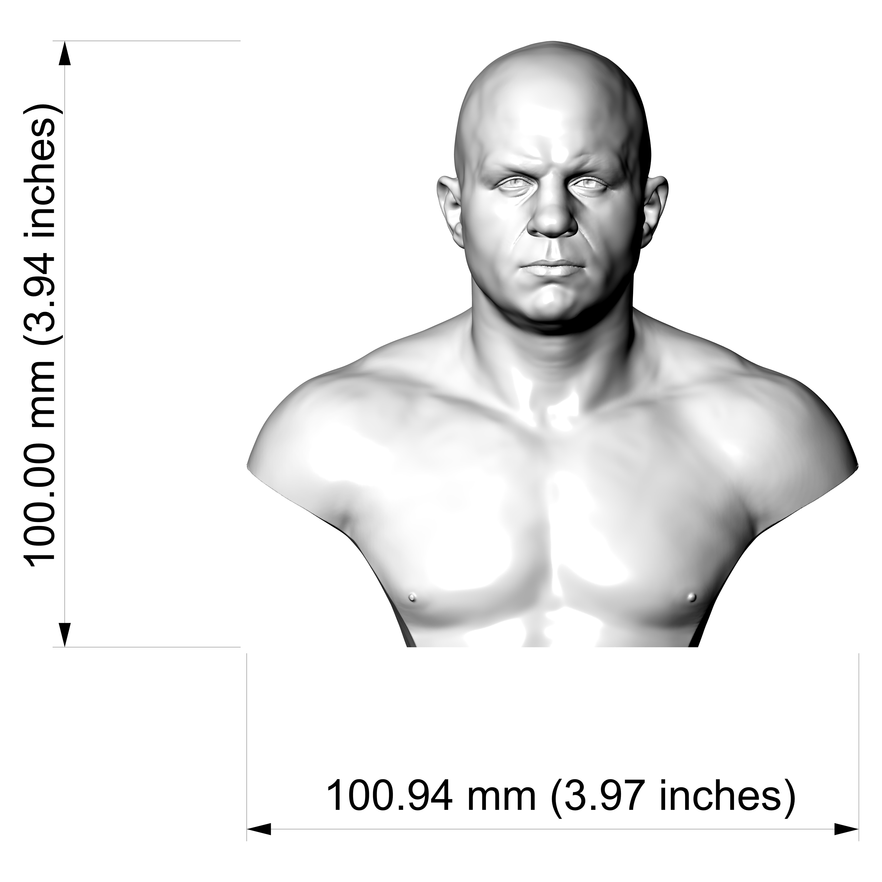 Fedor Emelianenko 3D Printable Bust 3D Model