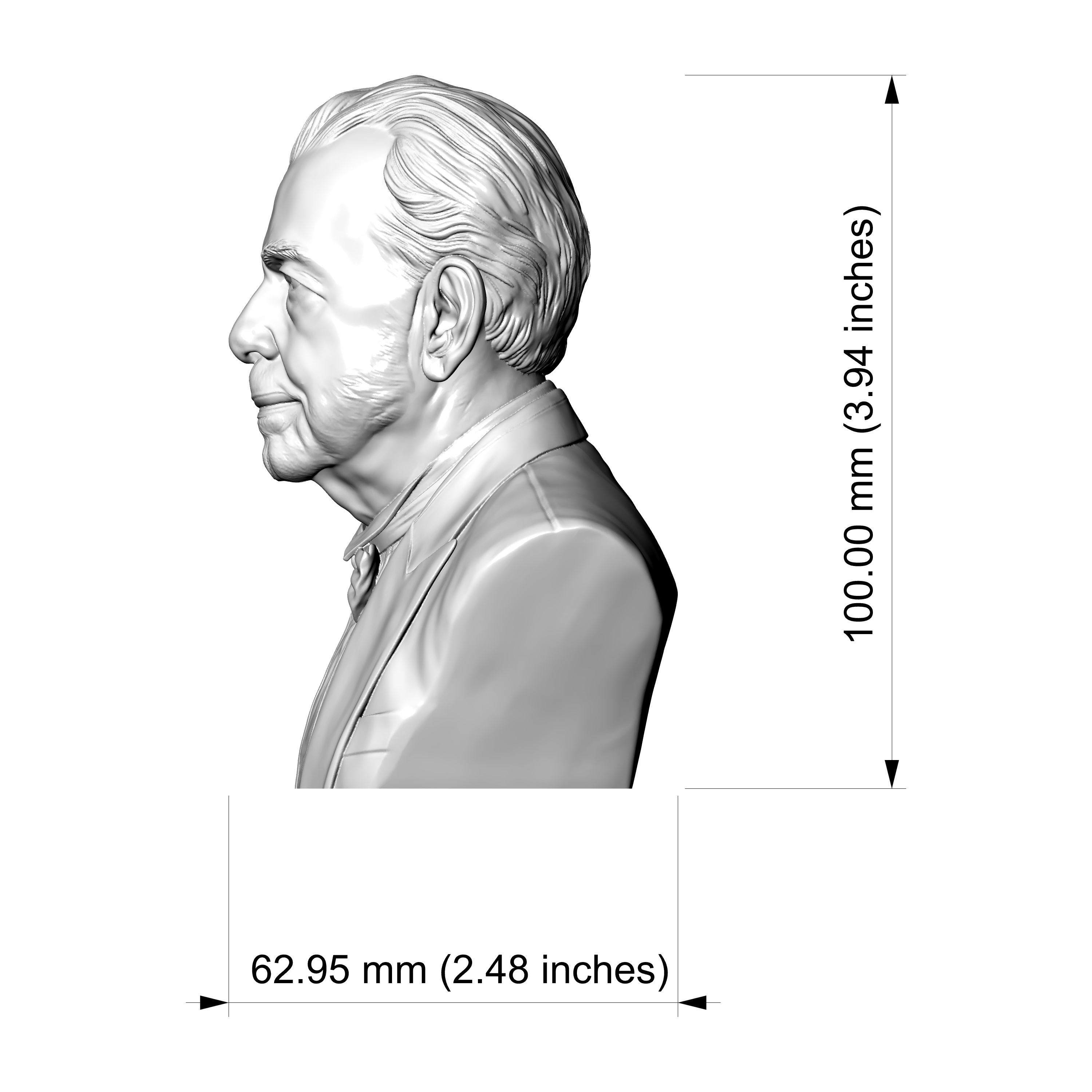 Francis Ford Coppola Bust 3D Printable Model 3D Model