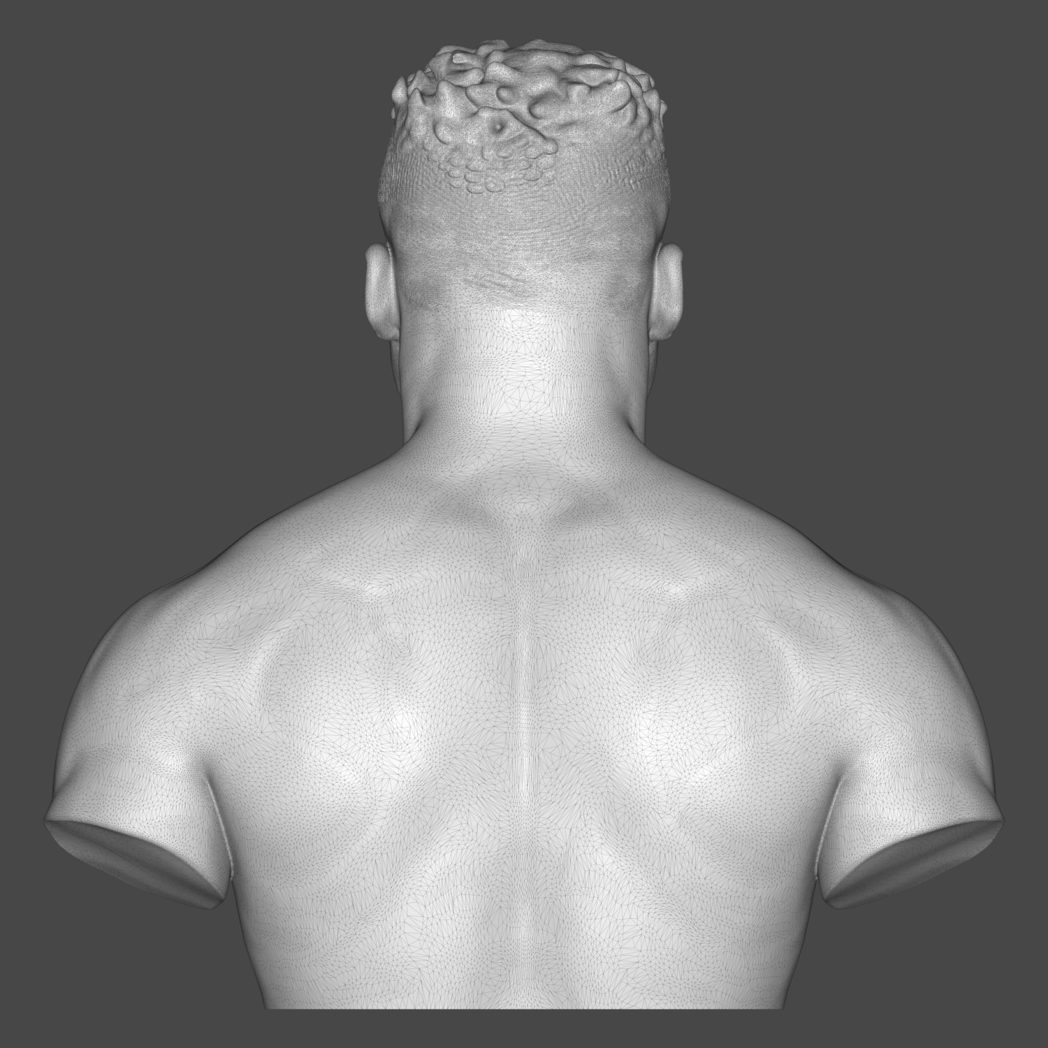 Francis Ngannou 3D Printable Bust 3D Model