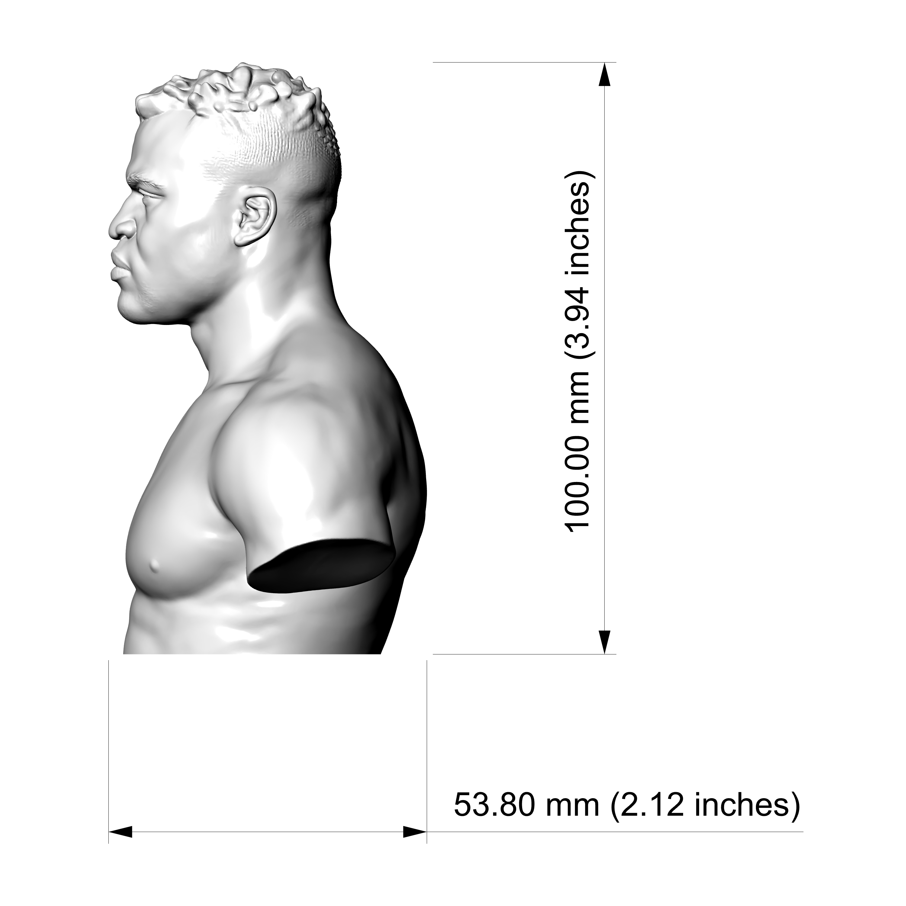 Francis Ngannou 3D Printable Bust 3D Model