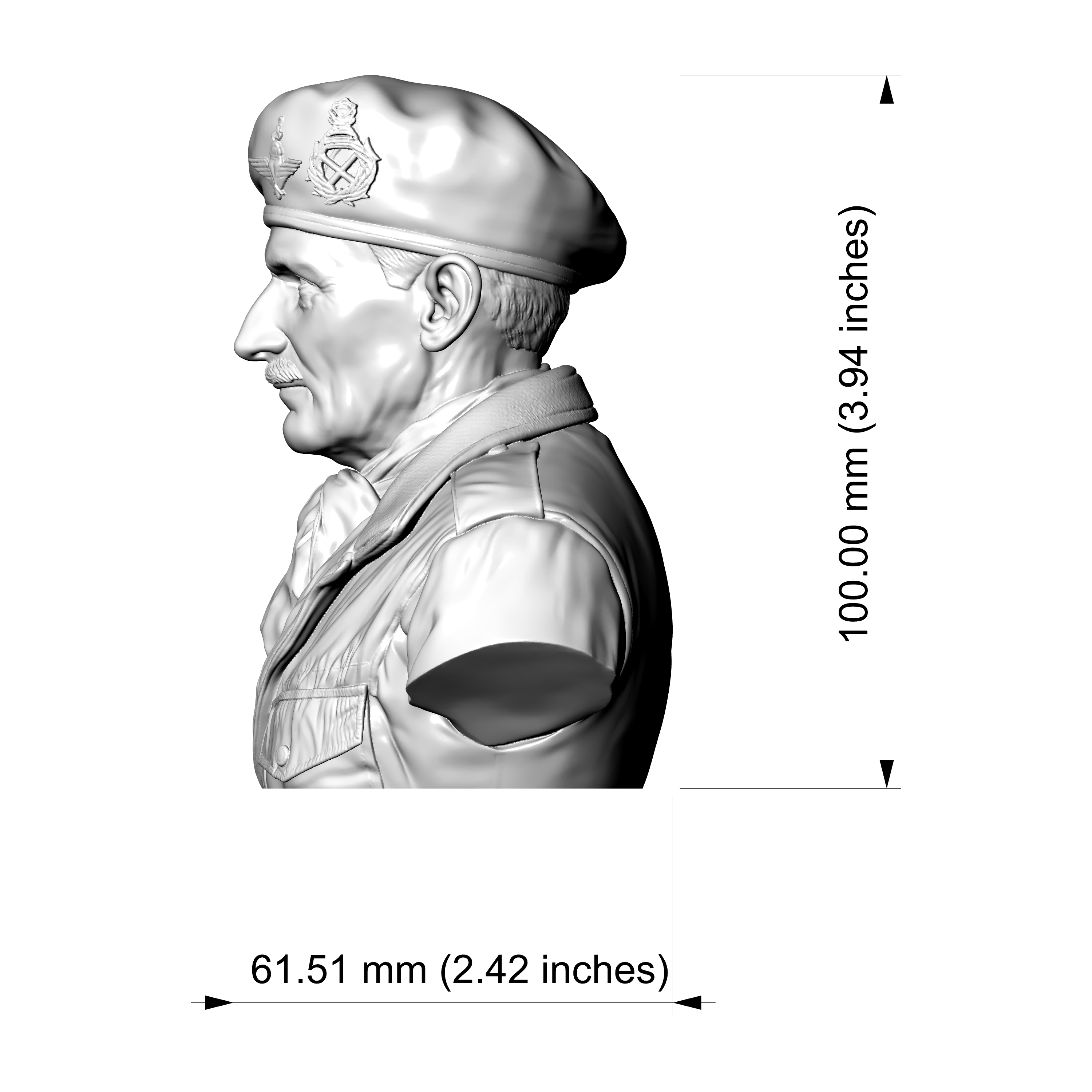 General Bernard Montgomery 3D Printable Bust 3D Model