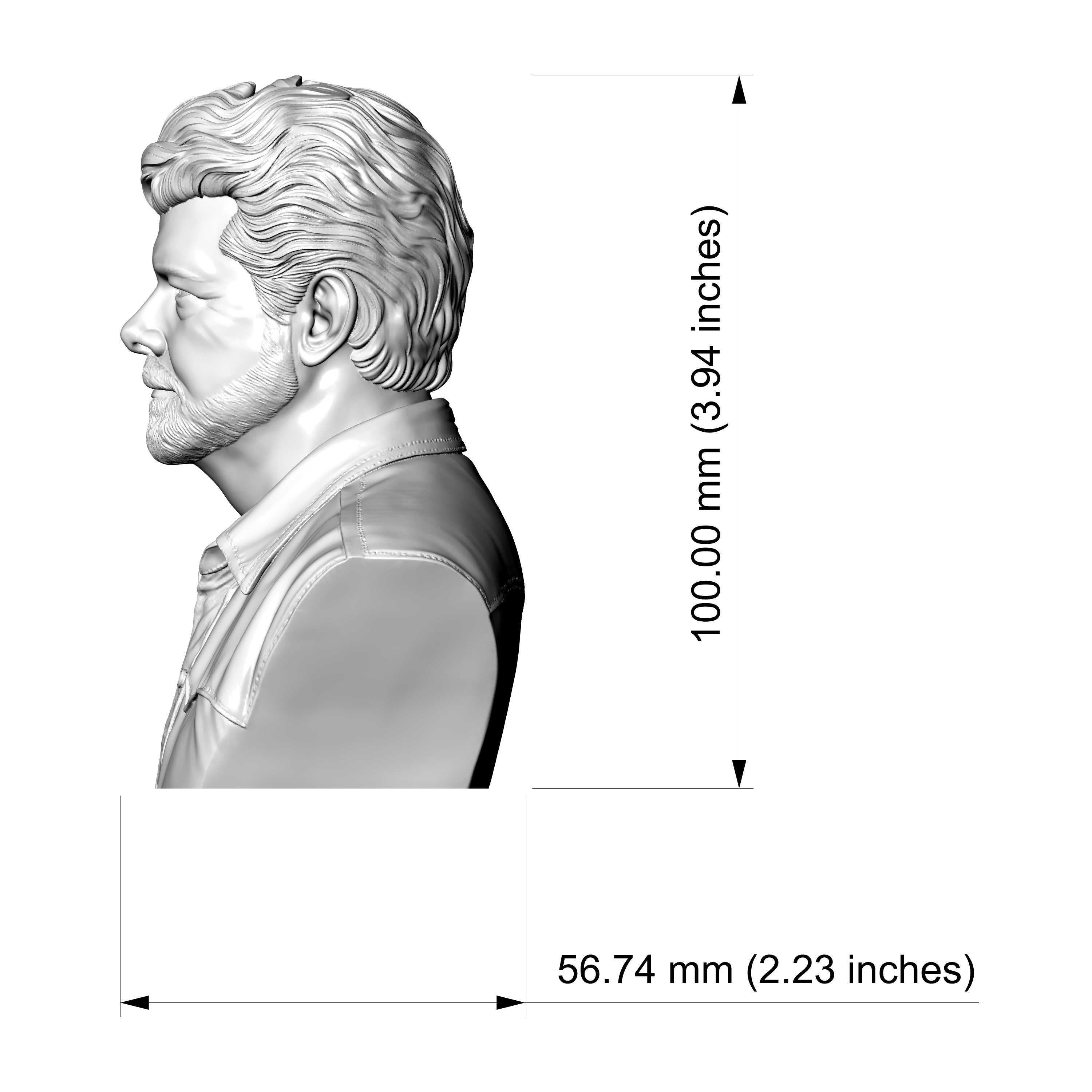 George Lucas Bust 3D Printable Model 3D Model