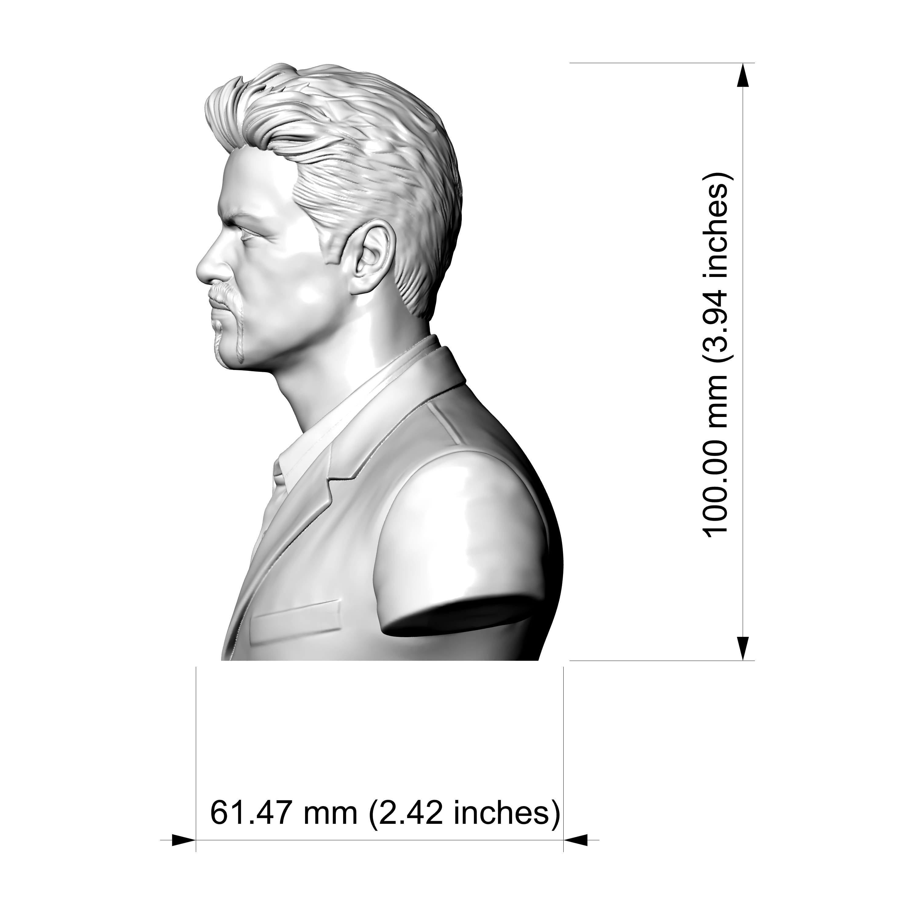 George Michael 3D Printable Bust 3D Model