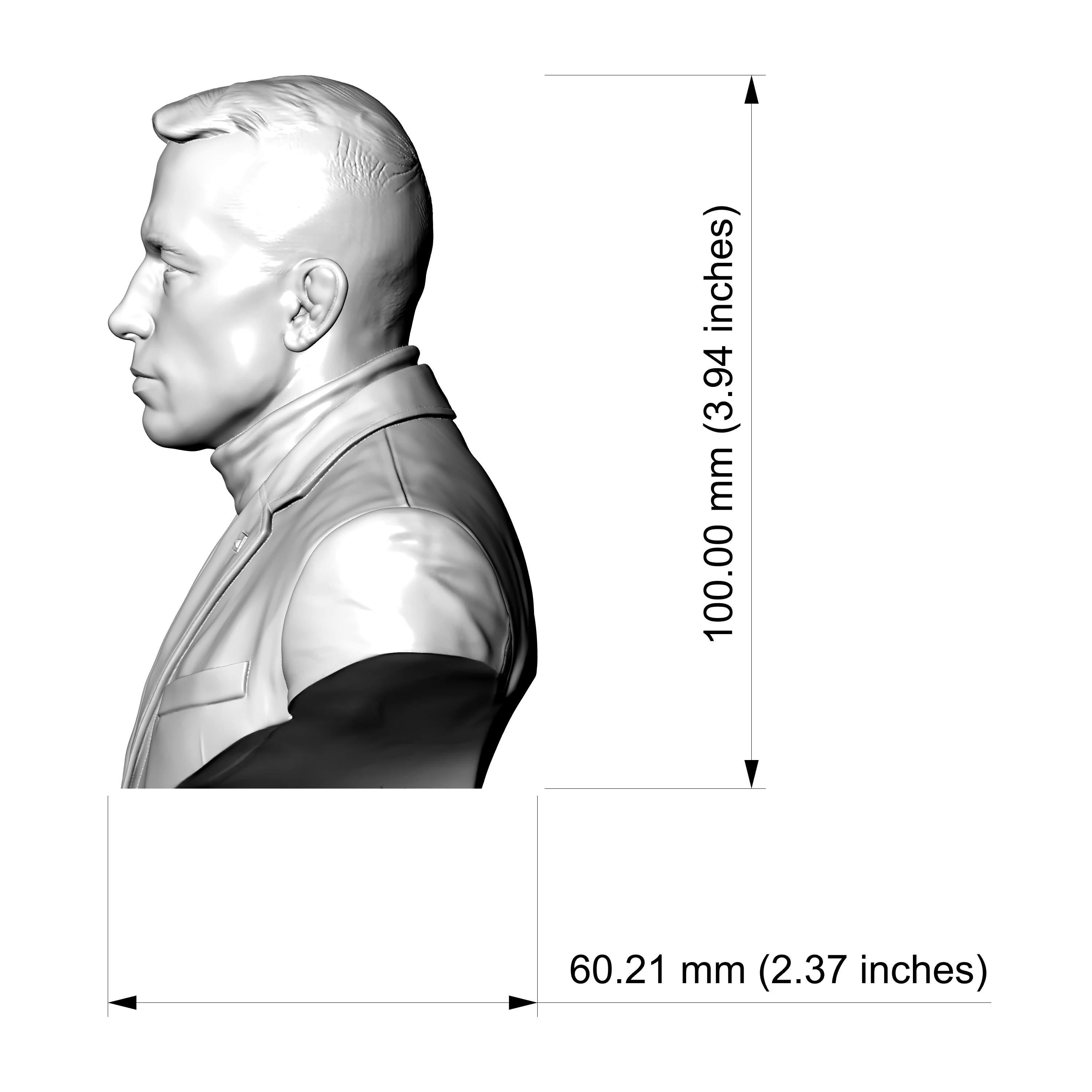 Georges St-Pierre 3D Printable Bust 3D Model