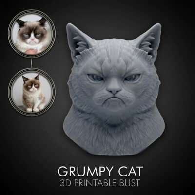 Grumpy Cat 3D Printable Bust