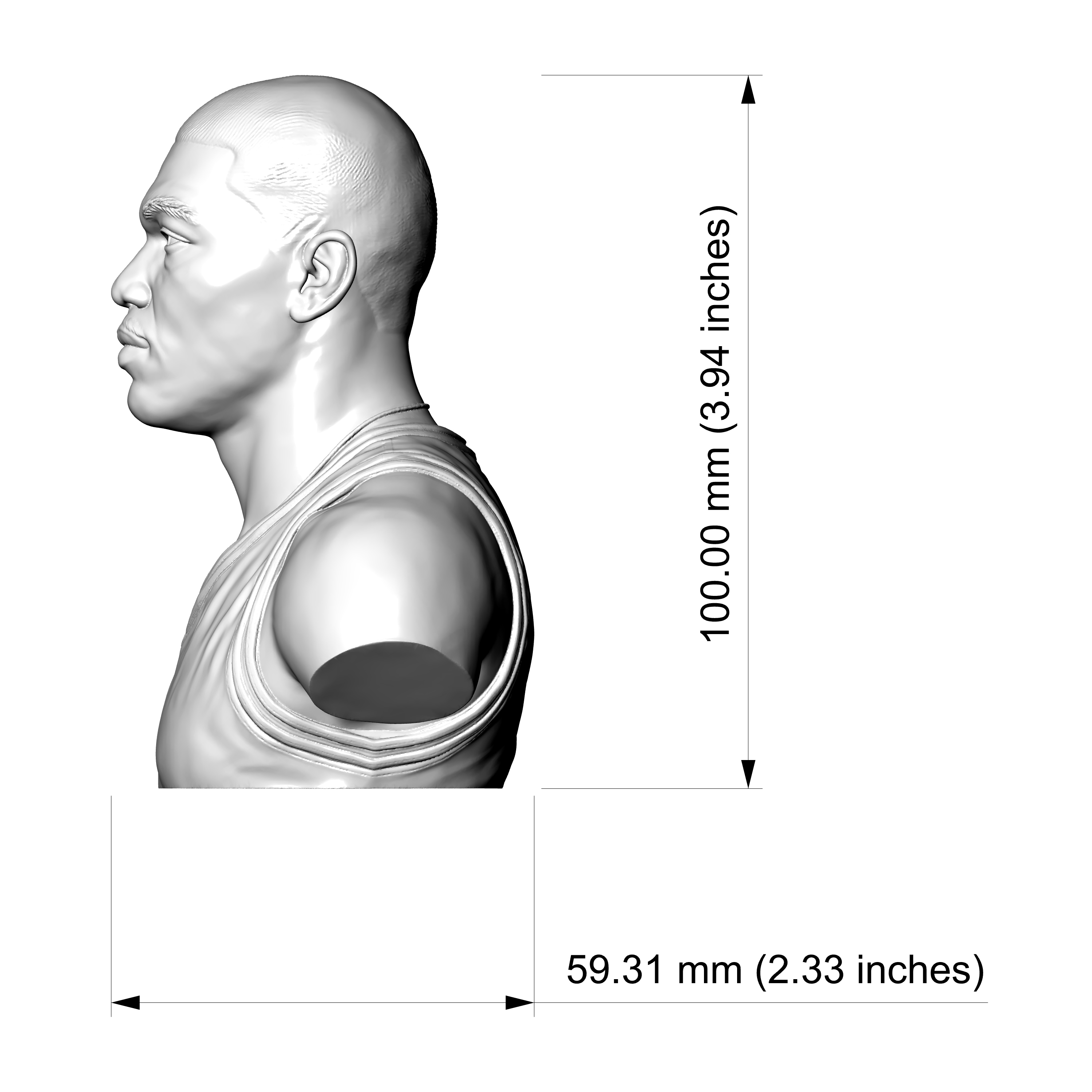 Hakeem Olajuwon 3D Printable Bust 3D Model