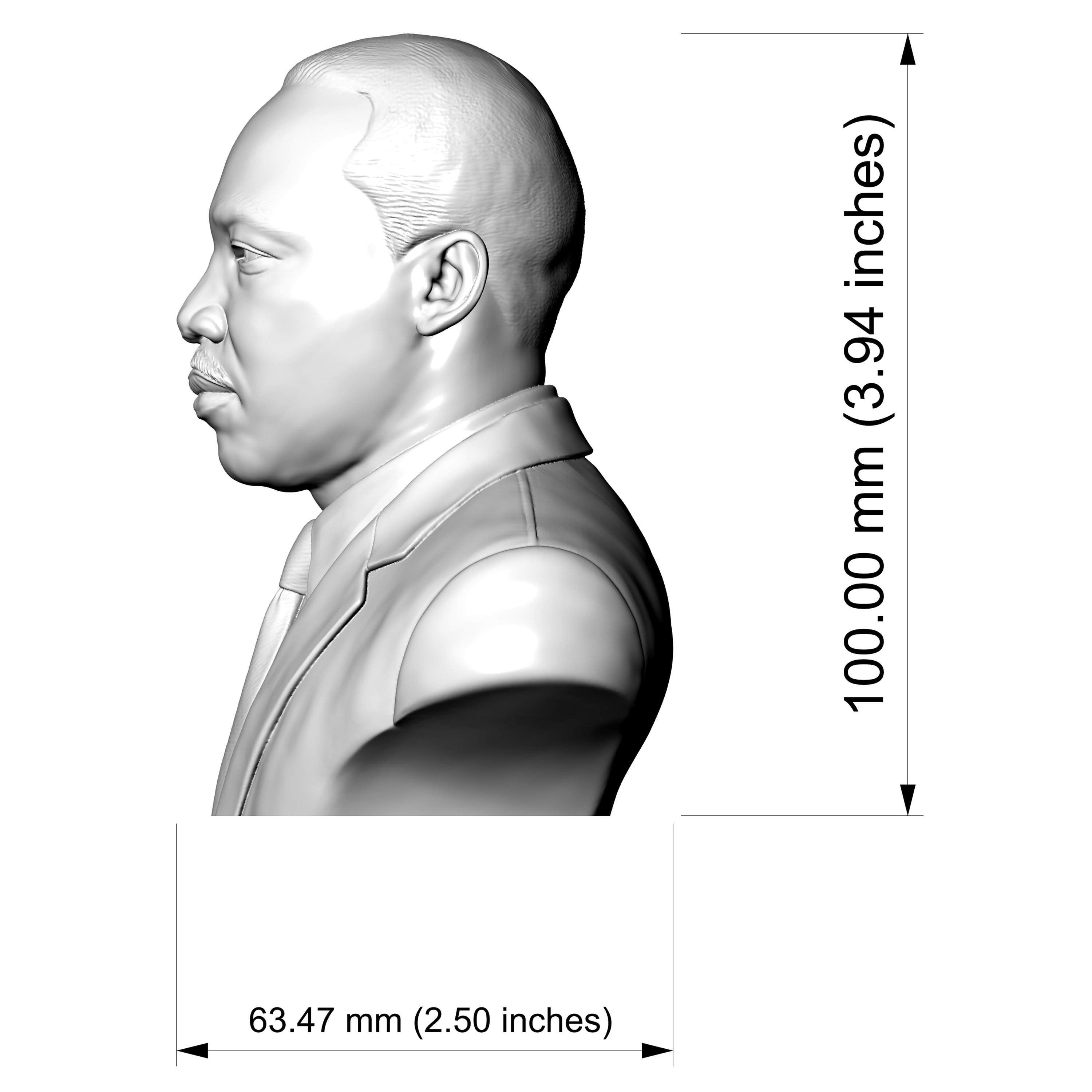 Martin Luther King Jr. Bust 3D Model