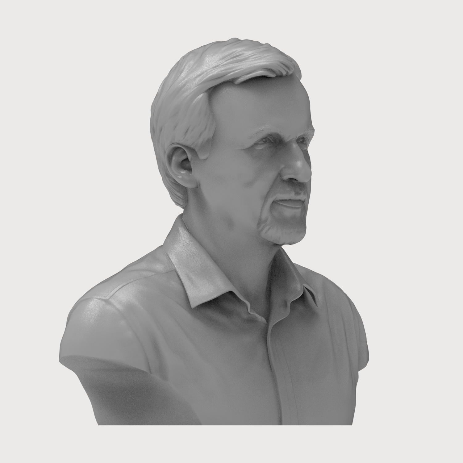 James Cameron Bust 3D Printable 3D Model