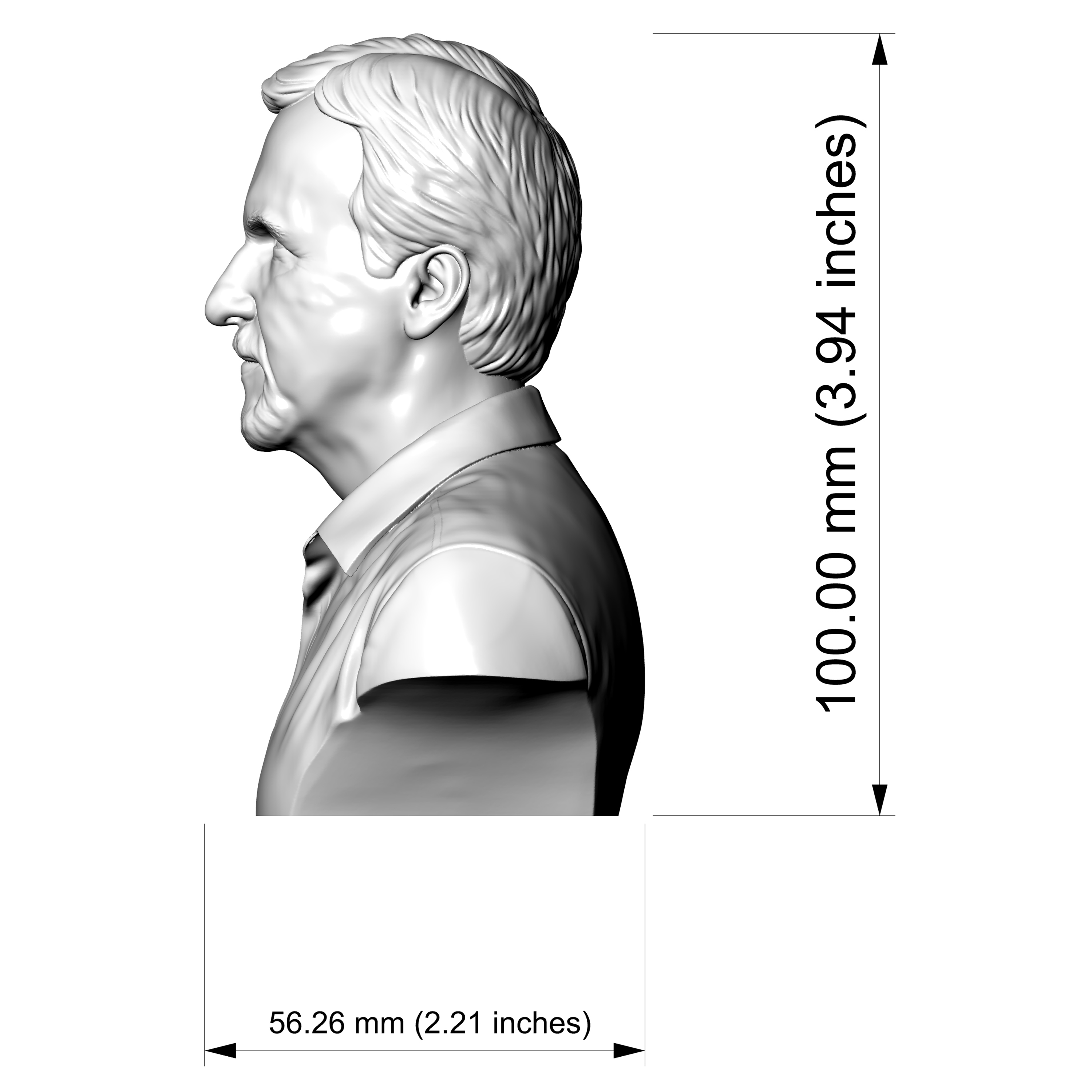 James Cameron Bust 3D Printable 3D Model