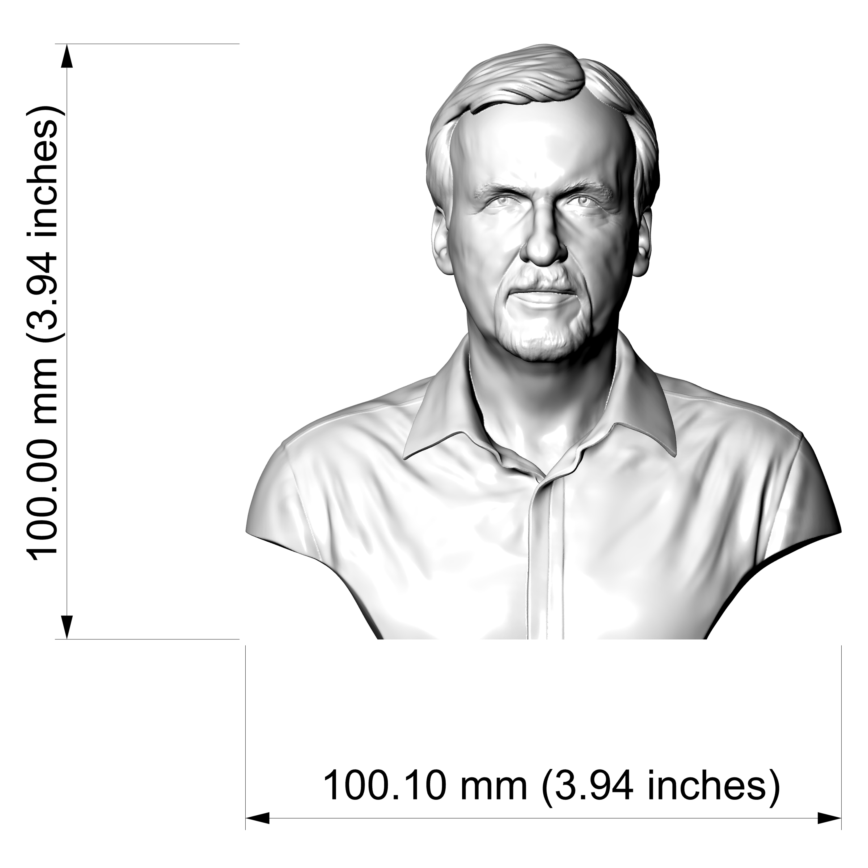 James Cameron Bust 3D Printable 3D Model
