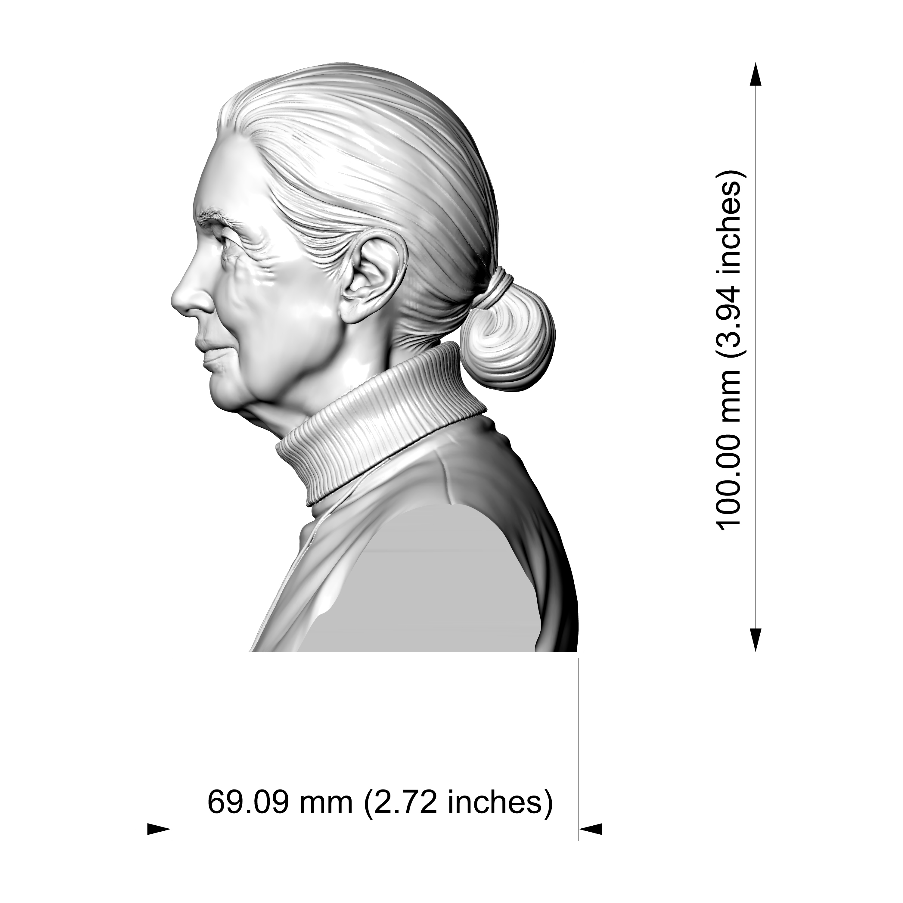 Jane Goodall 3D Printable Bust 3D Model