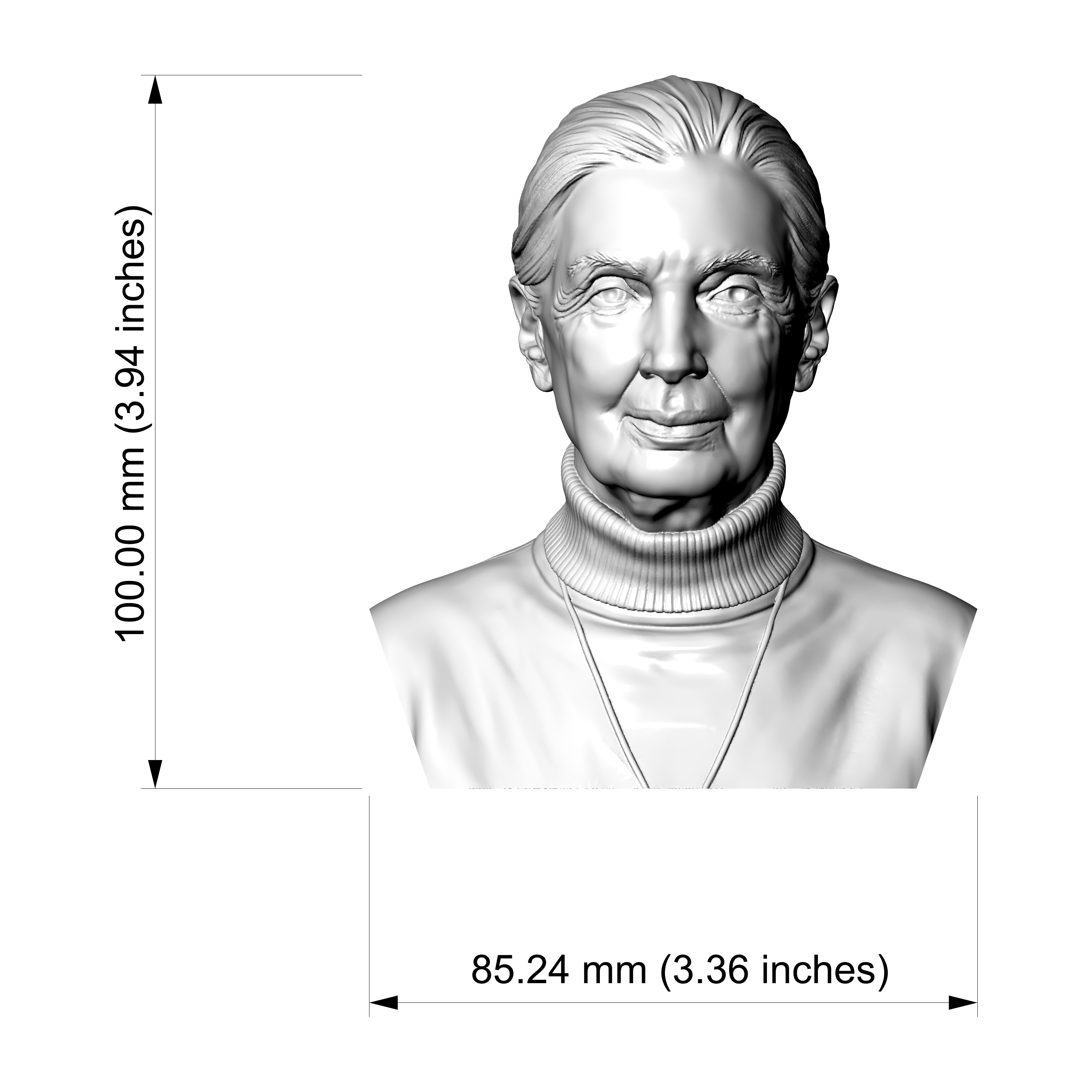 Jane Goodall 3D Printable Bust 3D Model