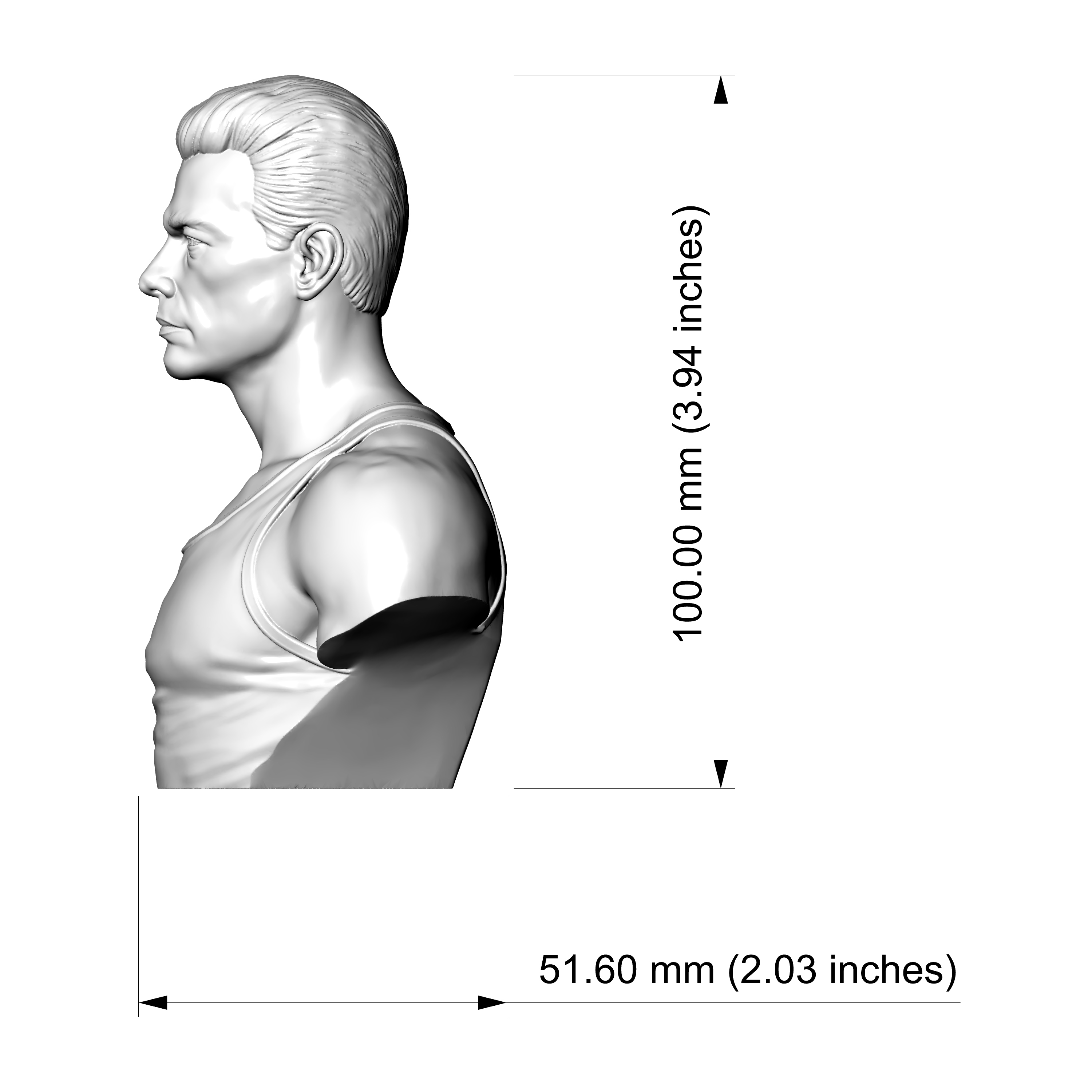 Jean-Claude Van Damme 3D Printable Bust 3D Model