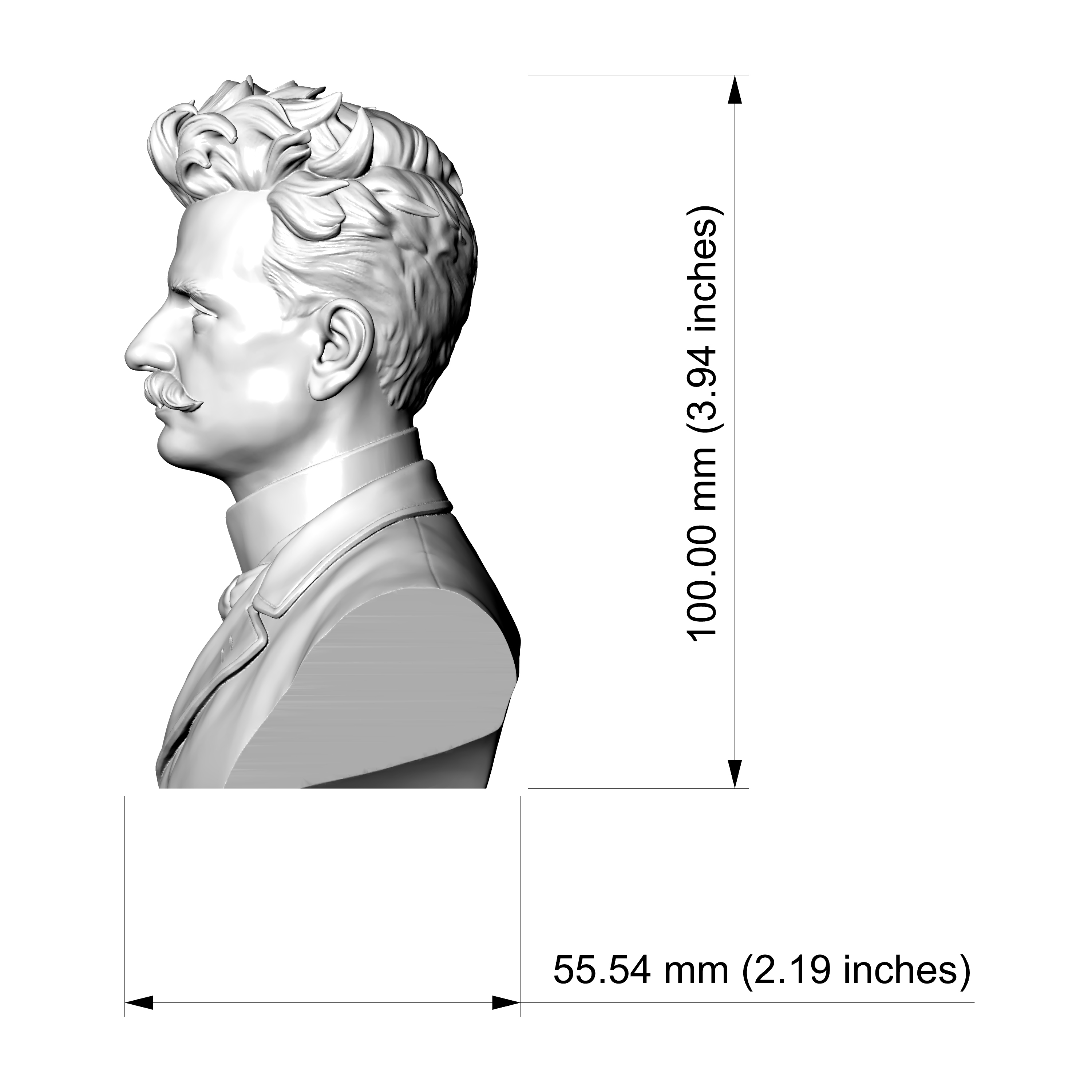 Jean Sibelius 3D Printable Bust 3D Model