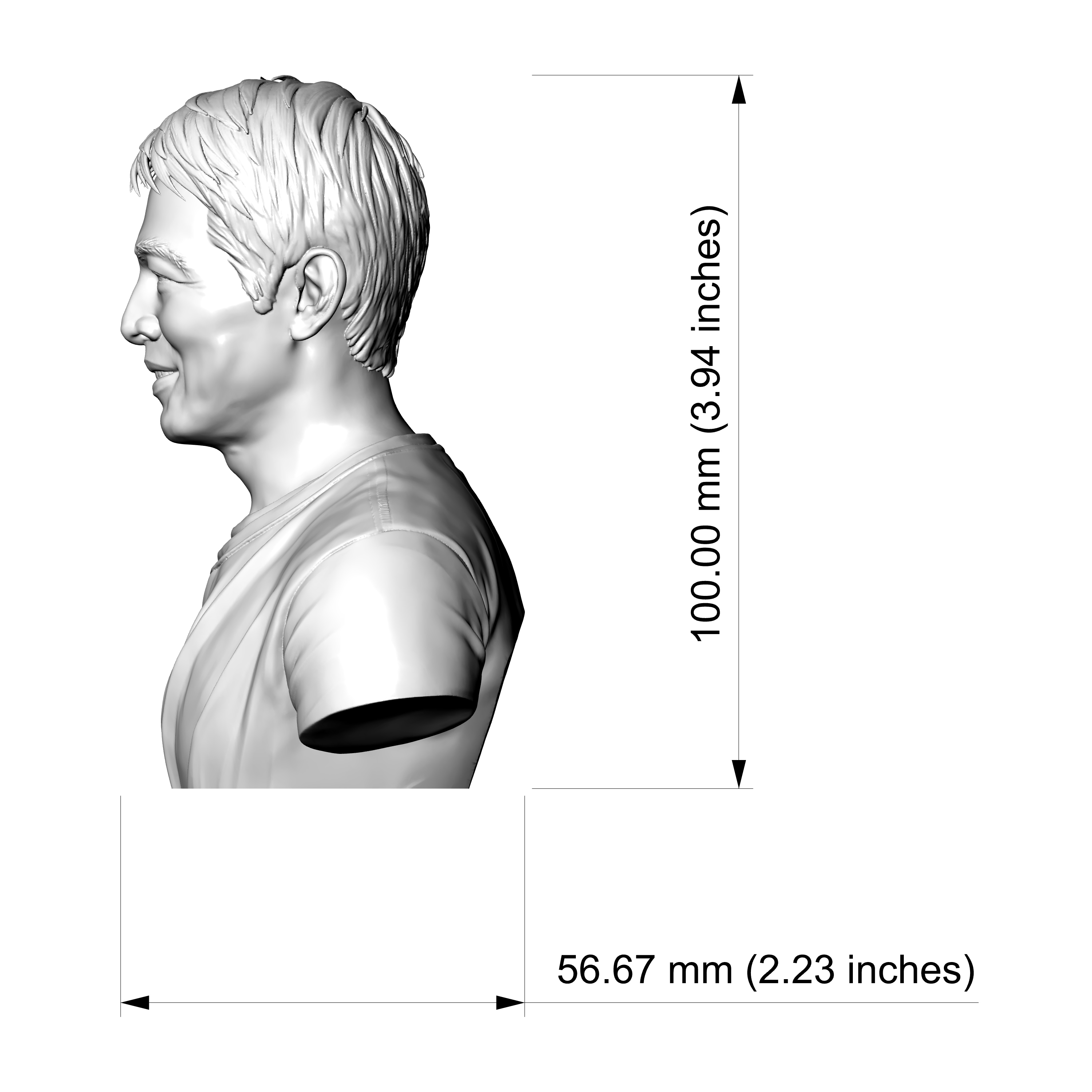 Jet Li Bust 3D Print Model 3D Model