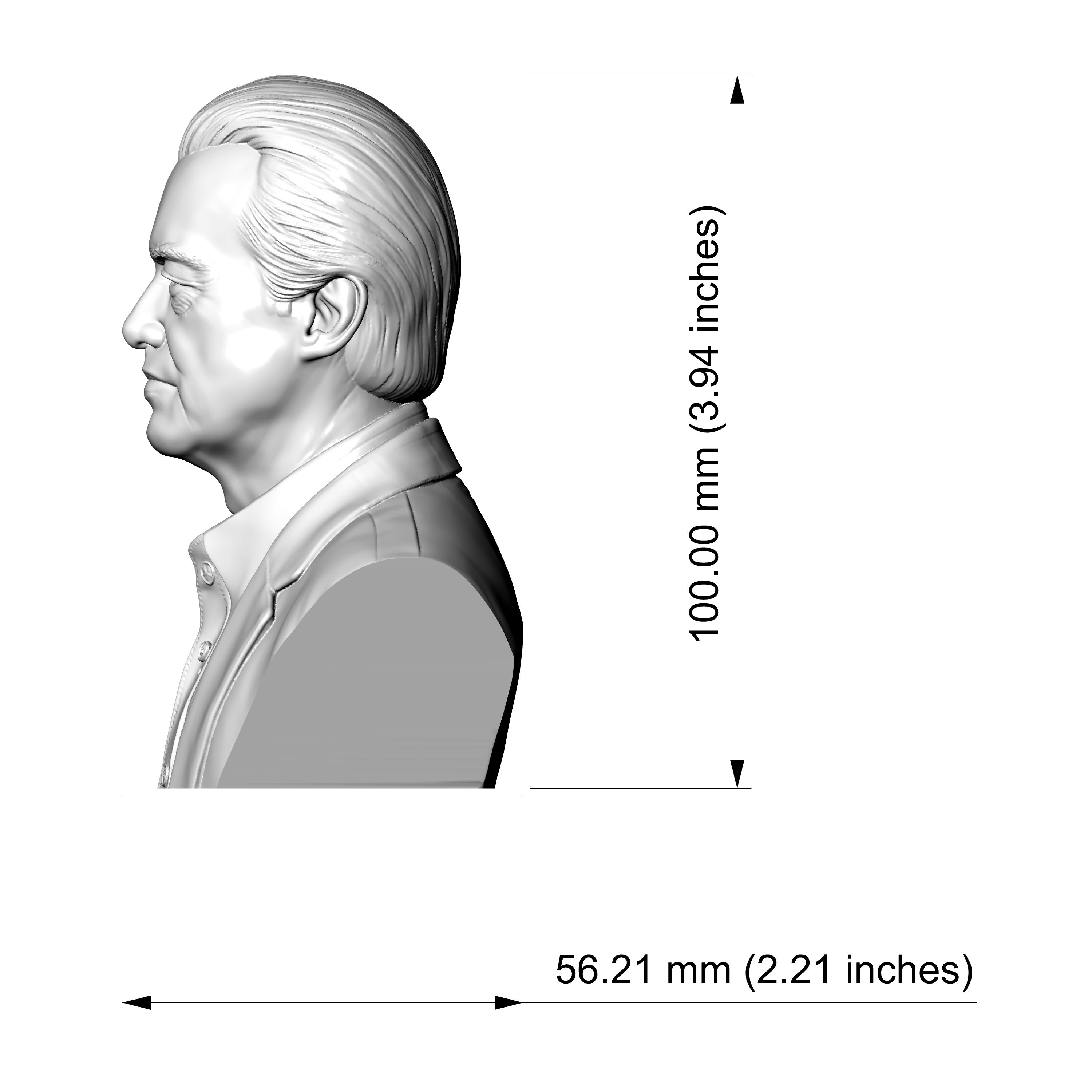 Jimmy Page 3D Printable Bust 3D Model
