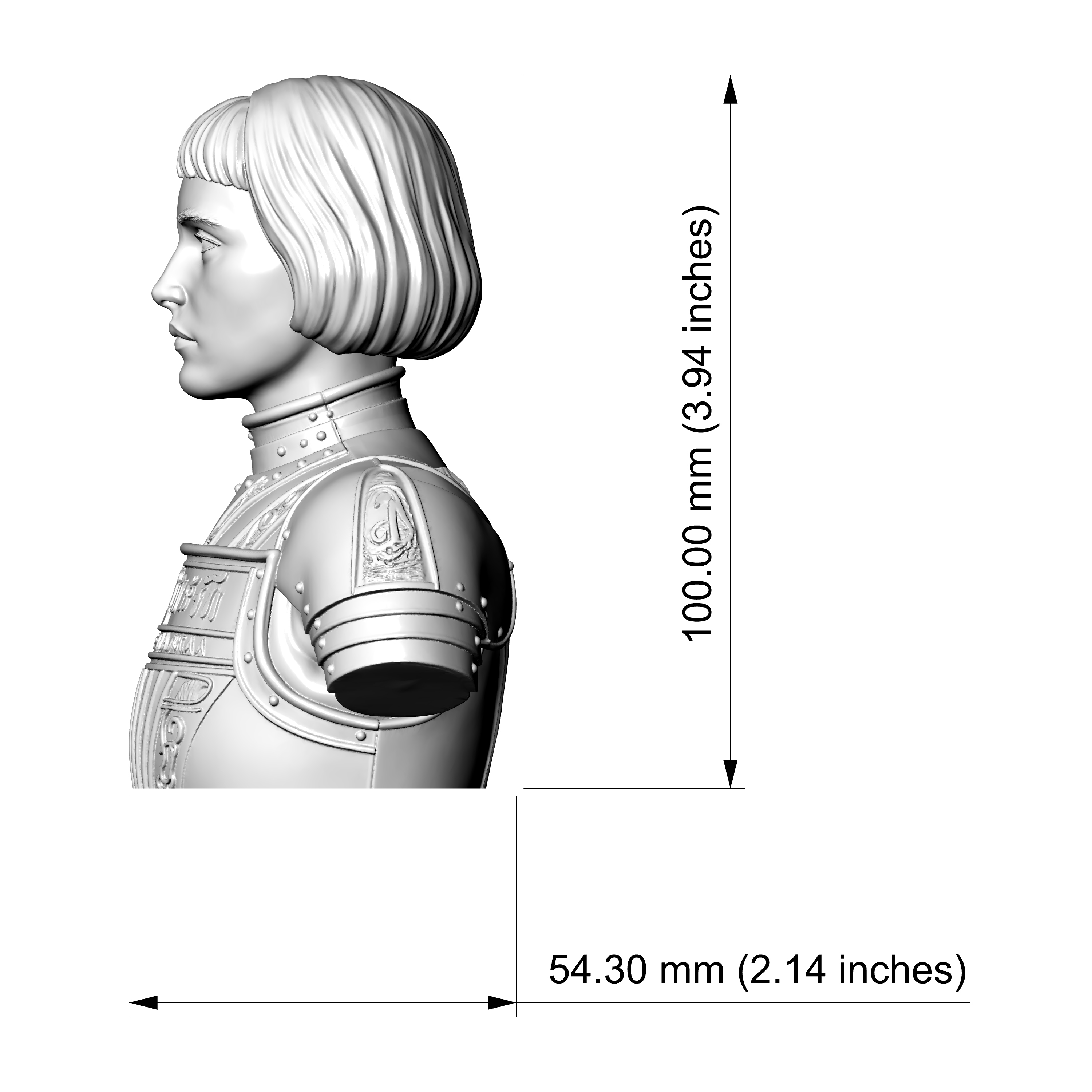 Joan of Arc 3D Printable Bust 3D Model