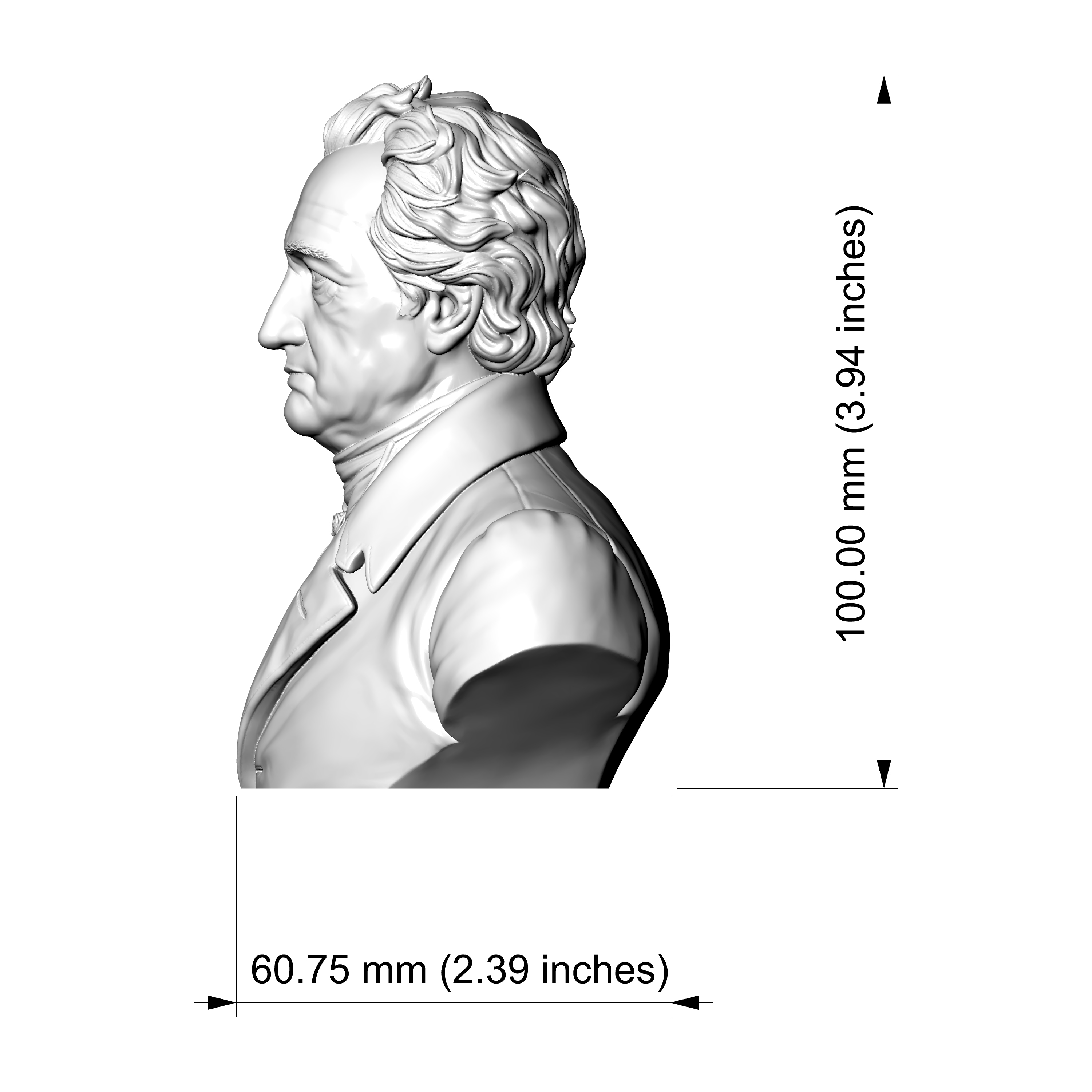 Johann Wolfgang von Goethe 3D Printable Bust 3D Model