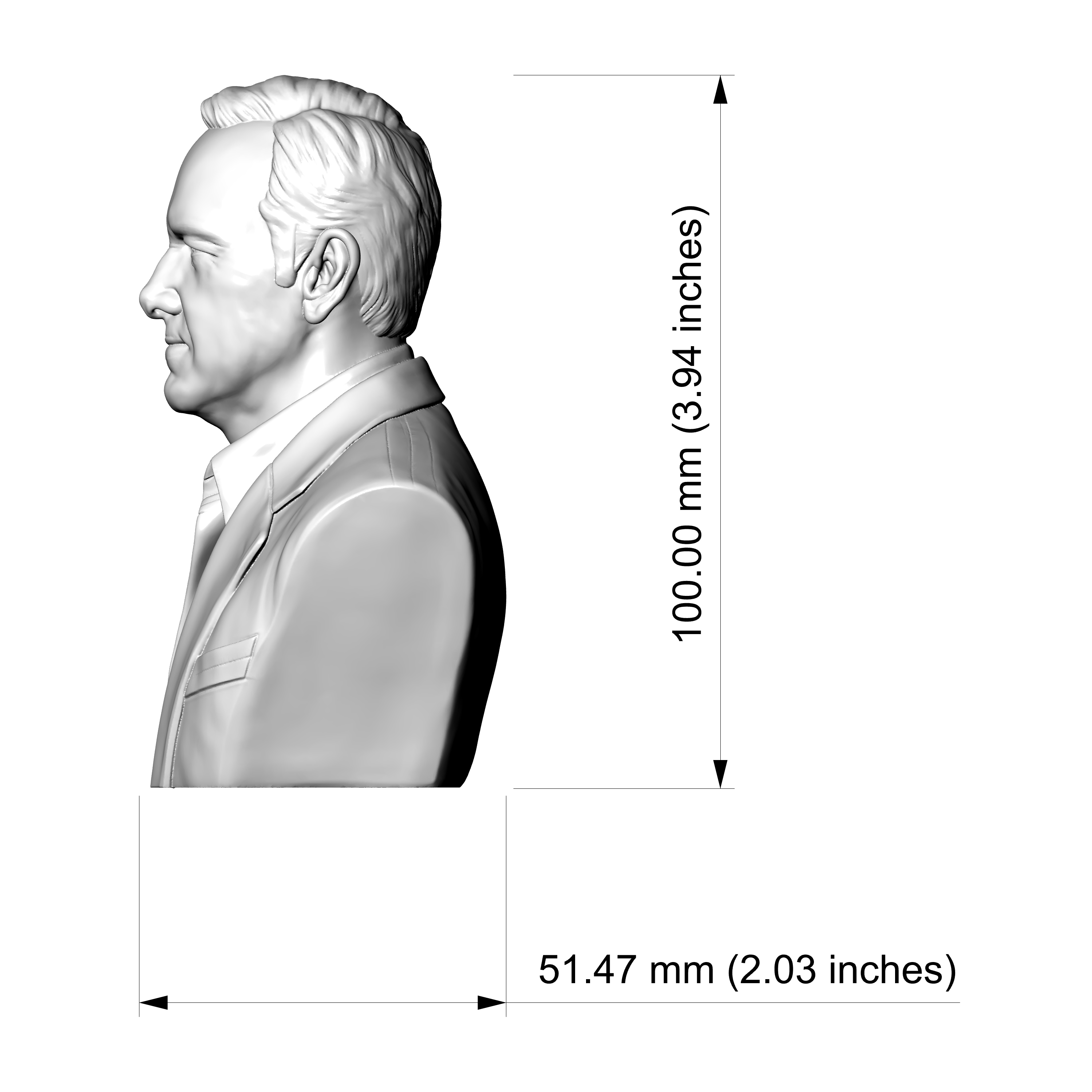Kevin Spacey 3D Printable Bust 3D Model
