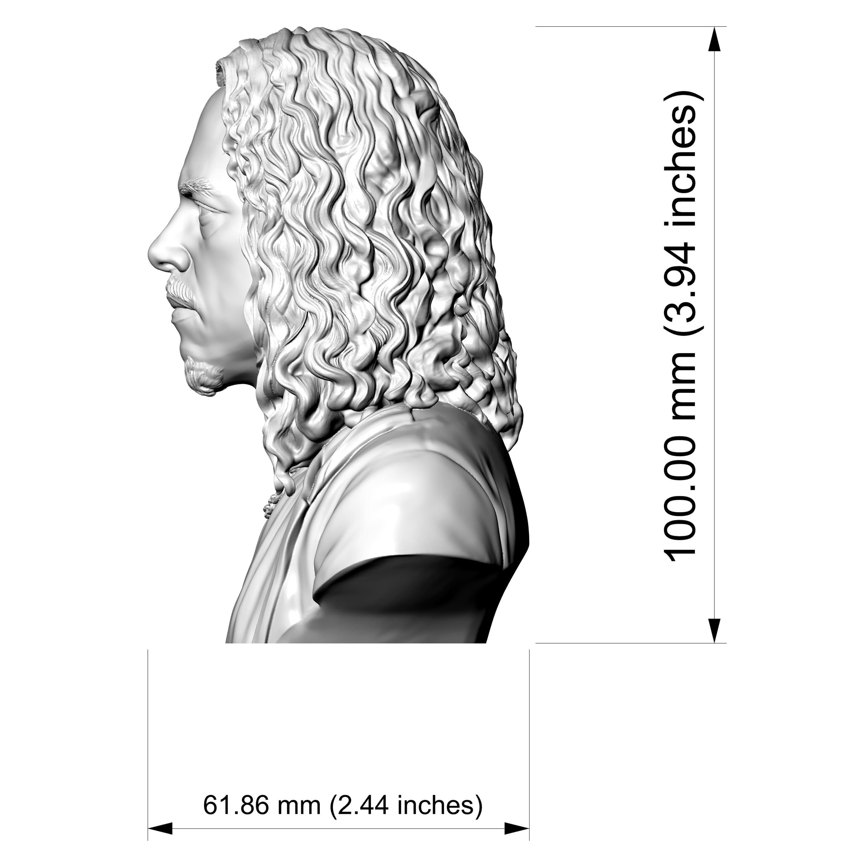 Kirk Hammett 3D Printable Bust 3D Model