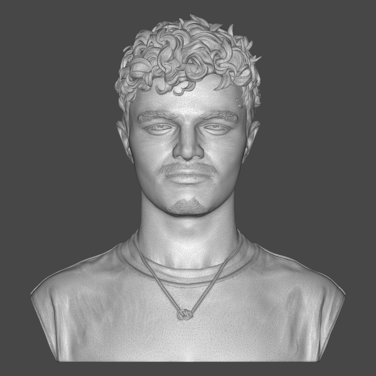 Lando Norris 3D Printable Bust 3D Model