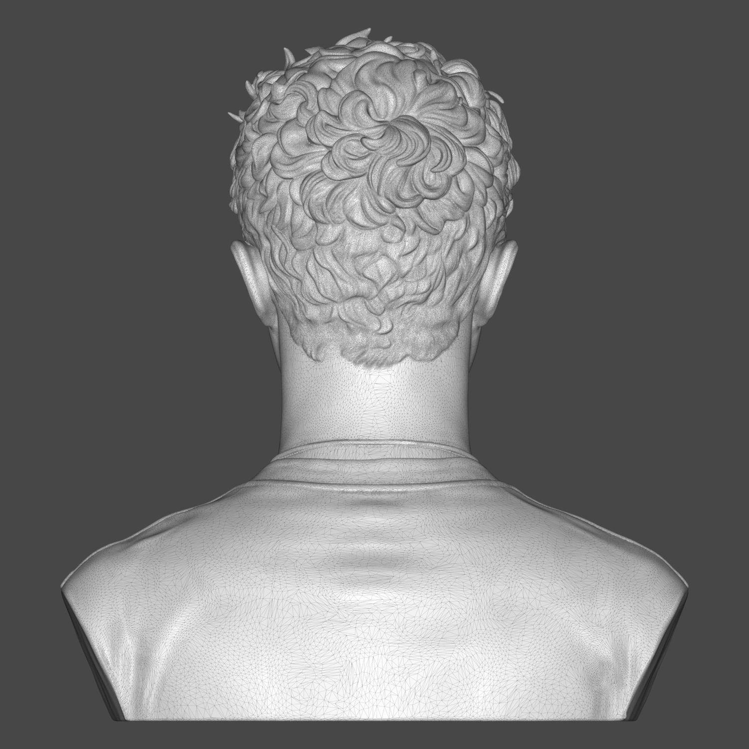 Lando Norris 3D Printable Bust 3D Model