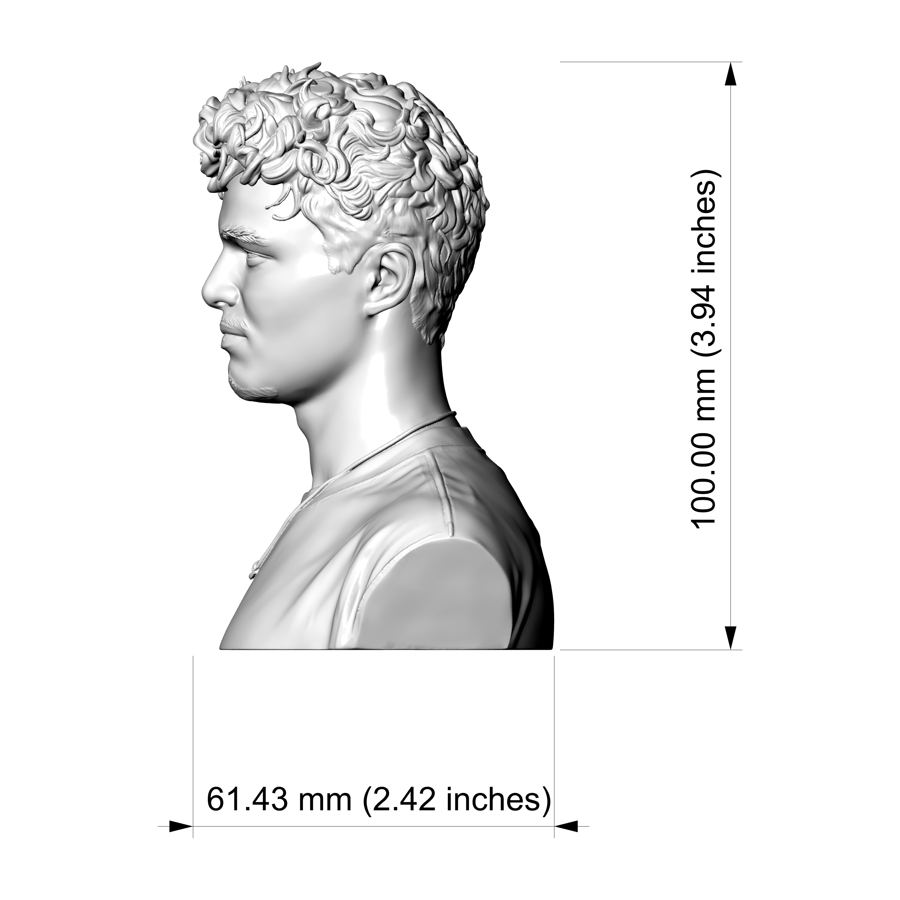 Lando Norris 3D Printable Bust 3D Model