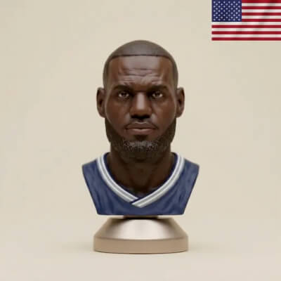 LeBron James Basketball NBA