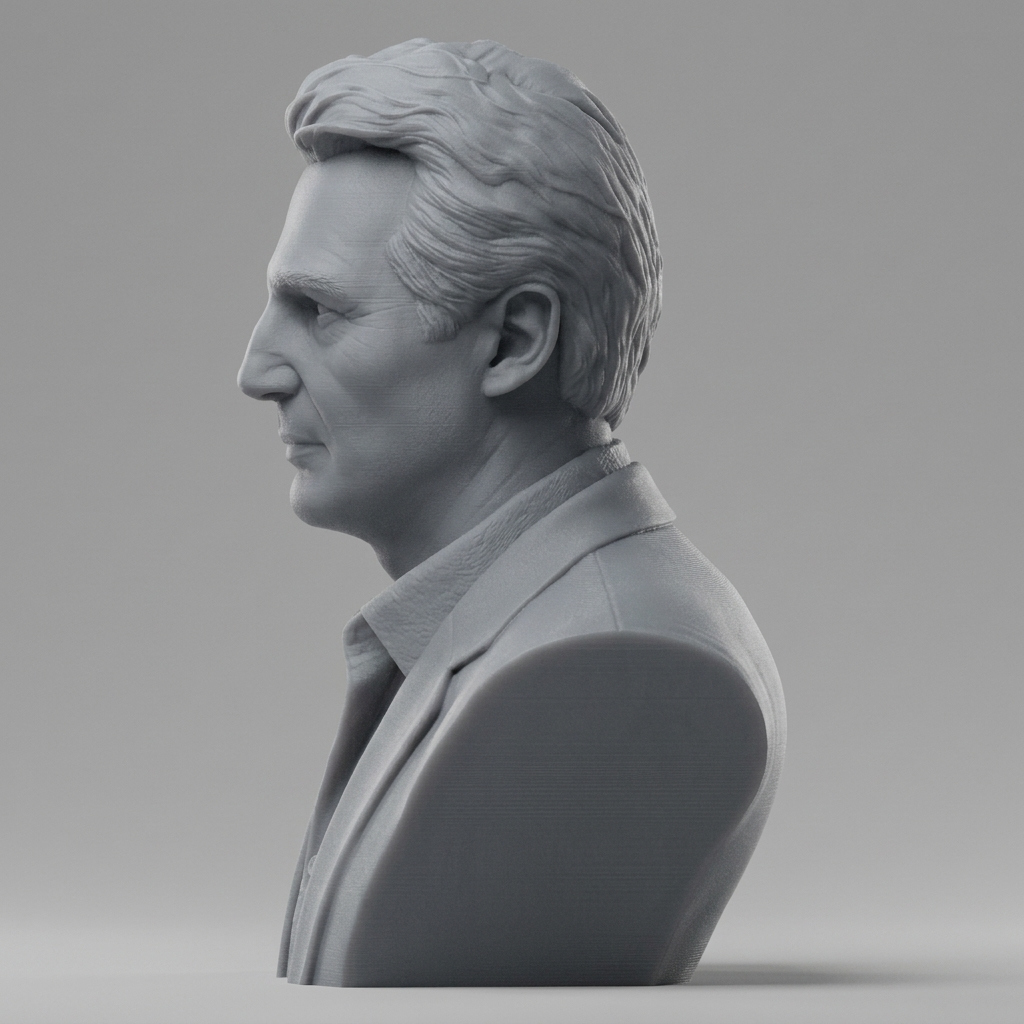 Liam Neeson 3D Printable Bust 3D Model