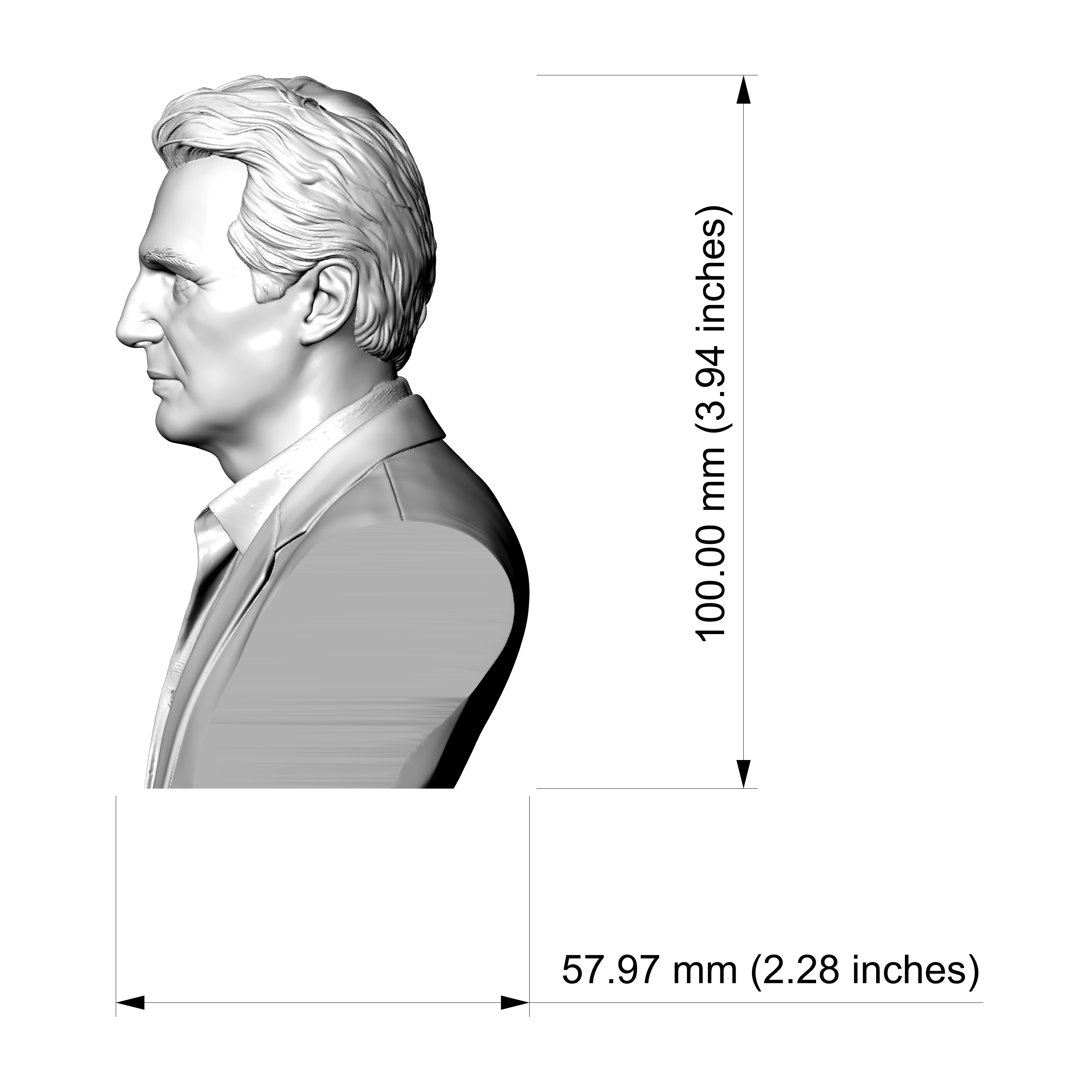 Liam Neeson 3D Printable Bust 3D Model