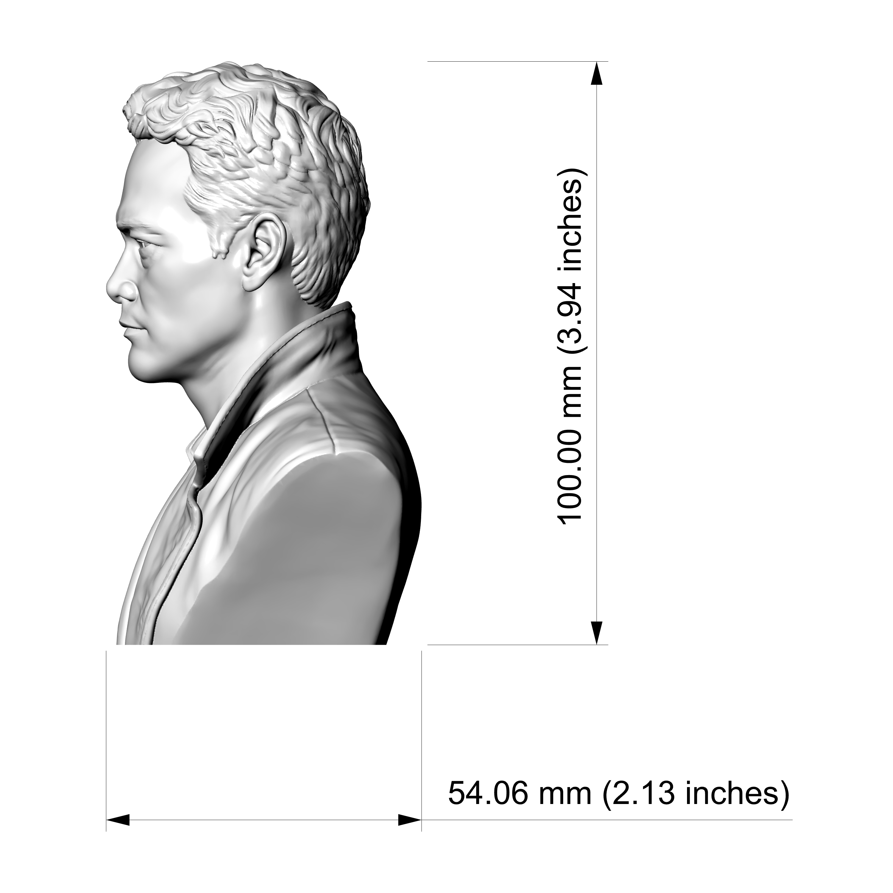 Mark Dacascos Bust 3D Print Model 3D Model