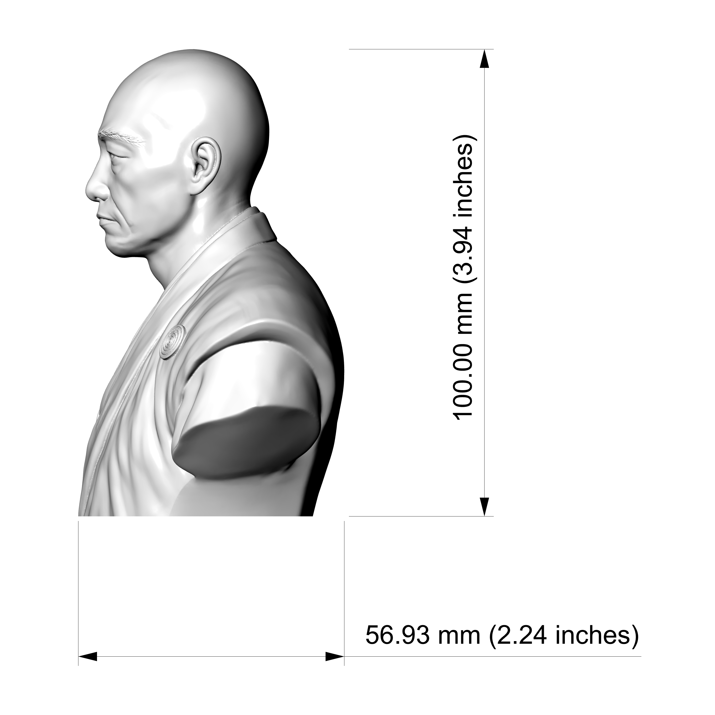 Matsudaira Kiyoyasu 3D Printable Bust 3D Model