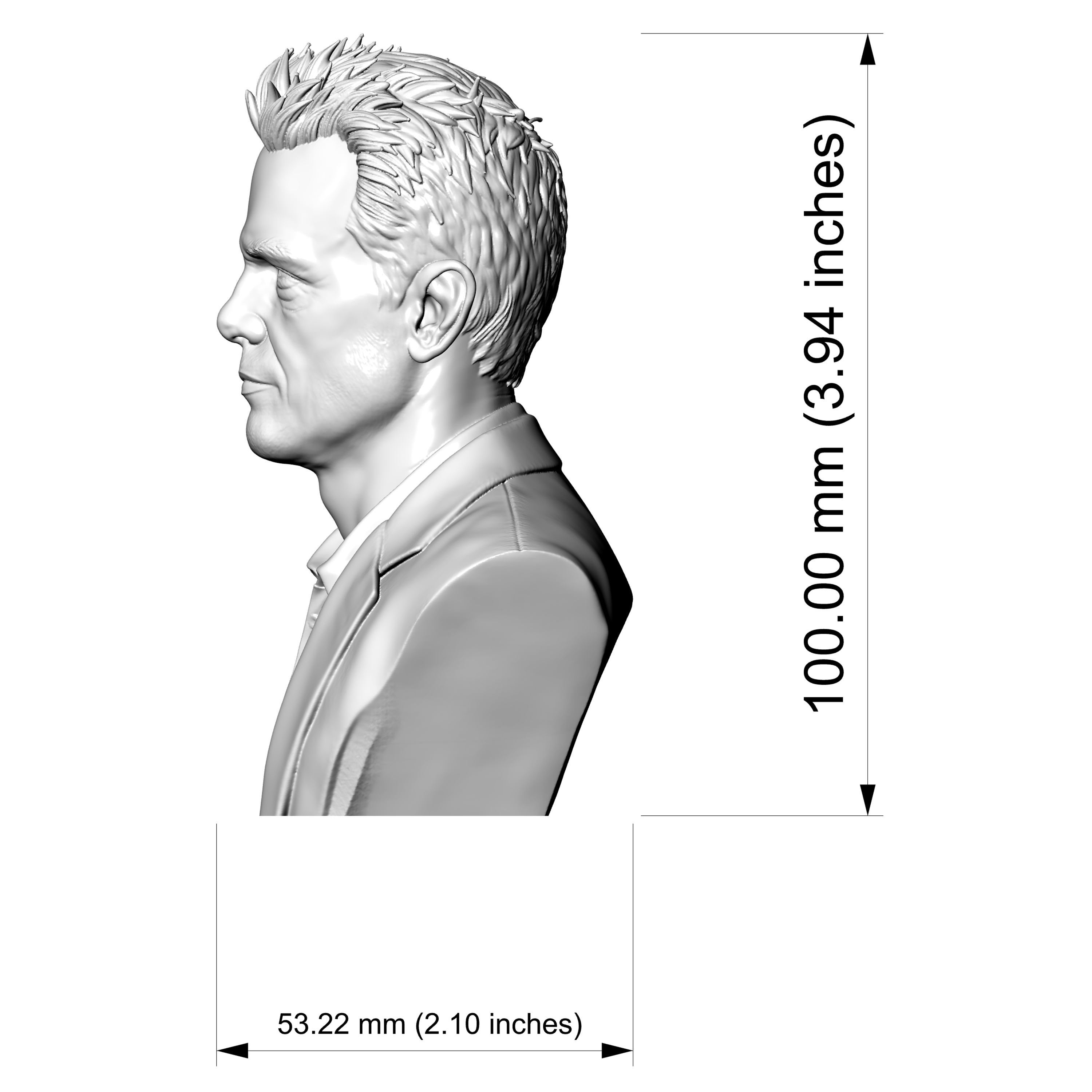 Michael Biehn Portrait Bust 3D Printable 3D Model