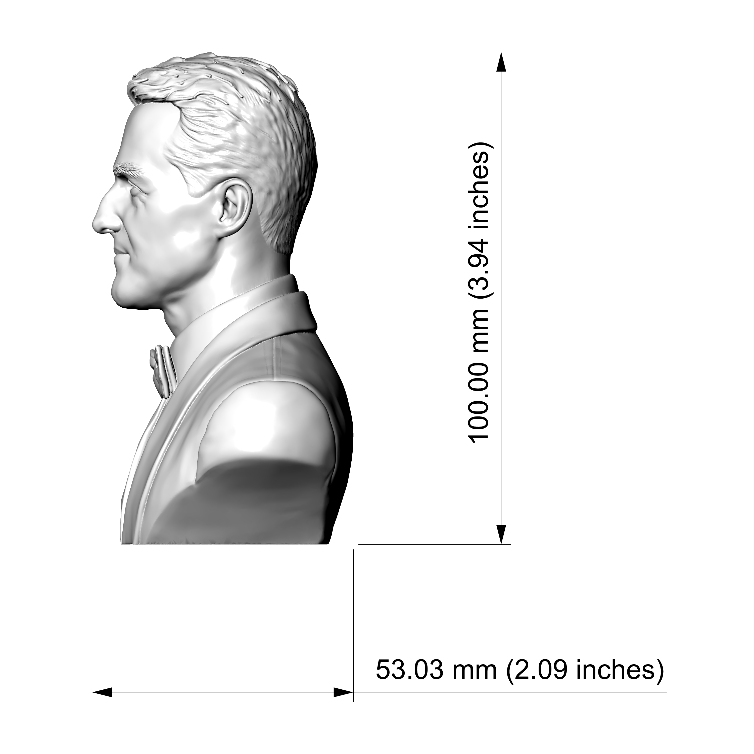 Michael Schumacher 3D Printable Bust 3D Model