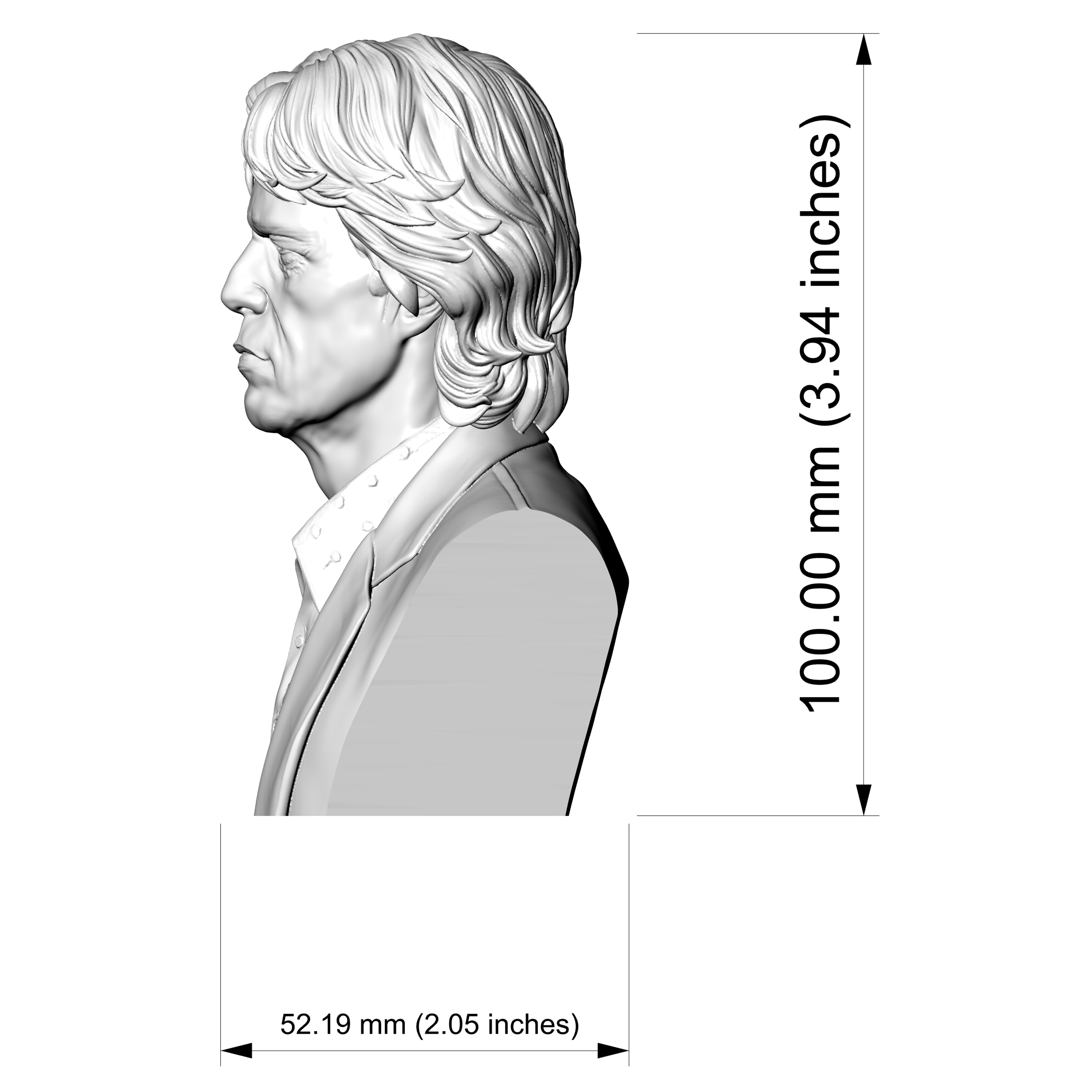Mick Jagger 3D Printable Bust 3D Model