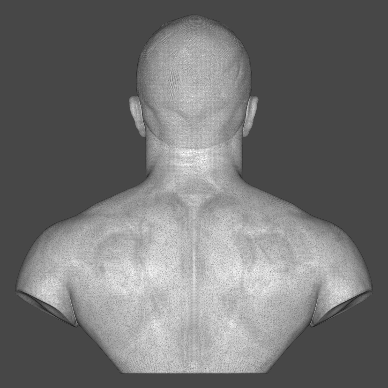 Mirko Cro Cop 3D Printable Bust 3D Model