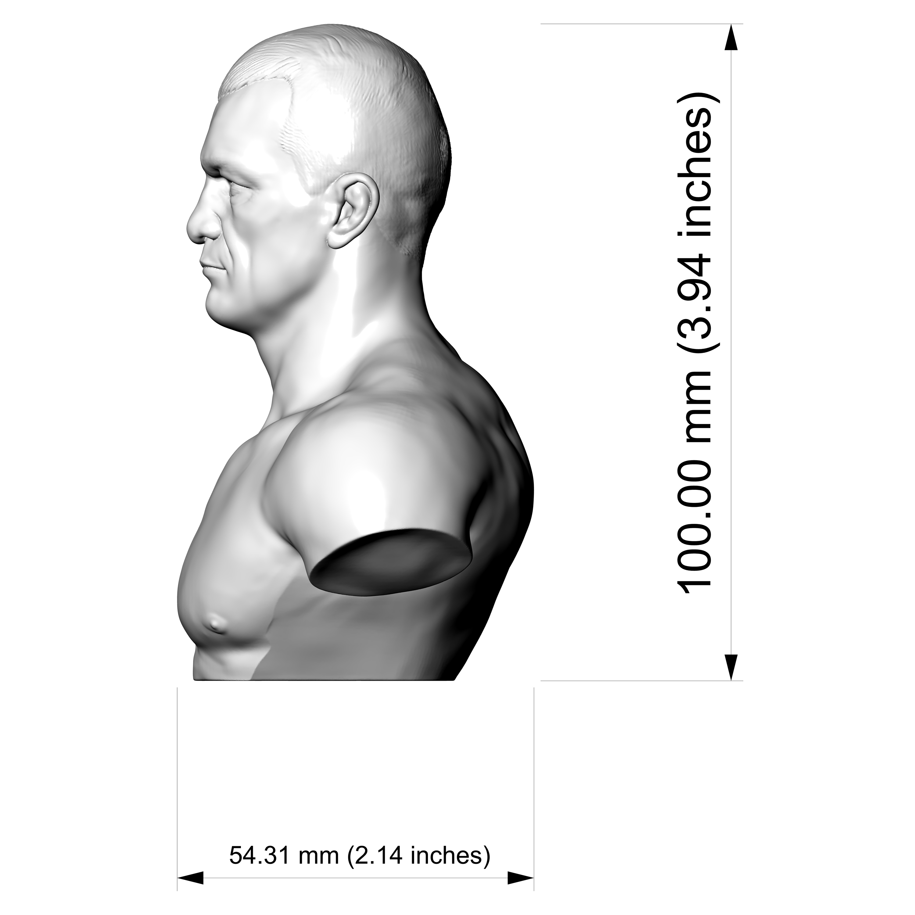 Mirko Cro Cop 3D Printable Bust 3D Model