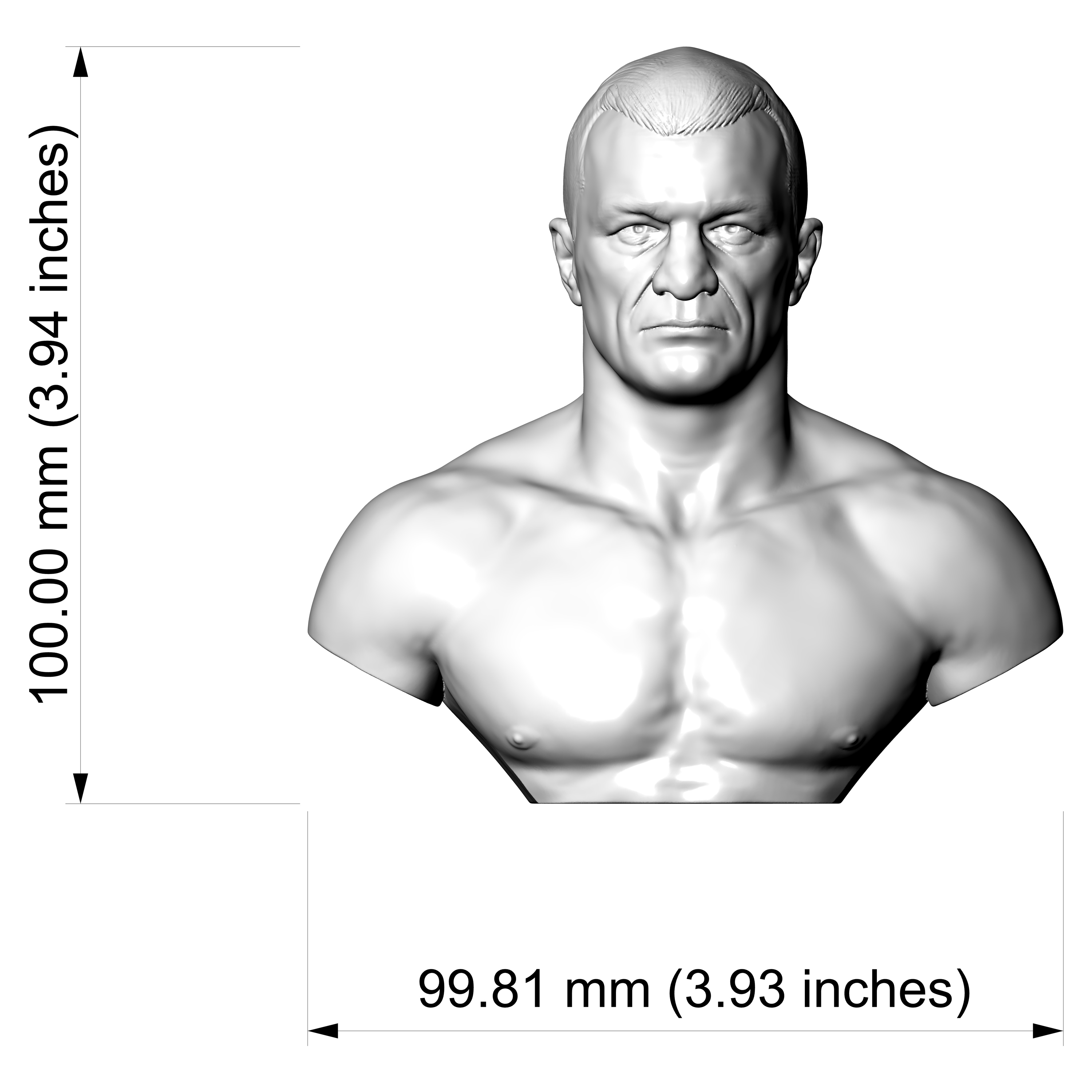 Mirko Cro Cop 3D Printable Bust 3D Model