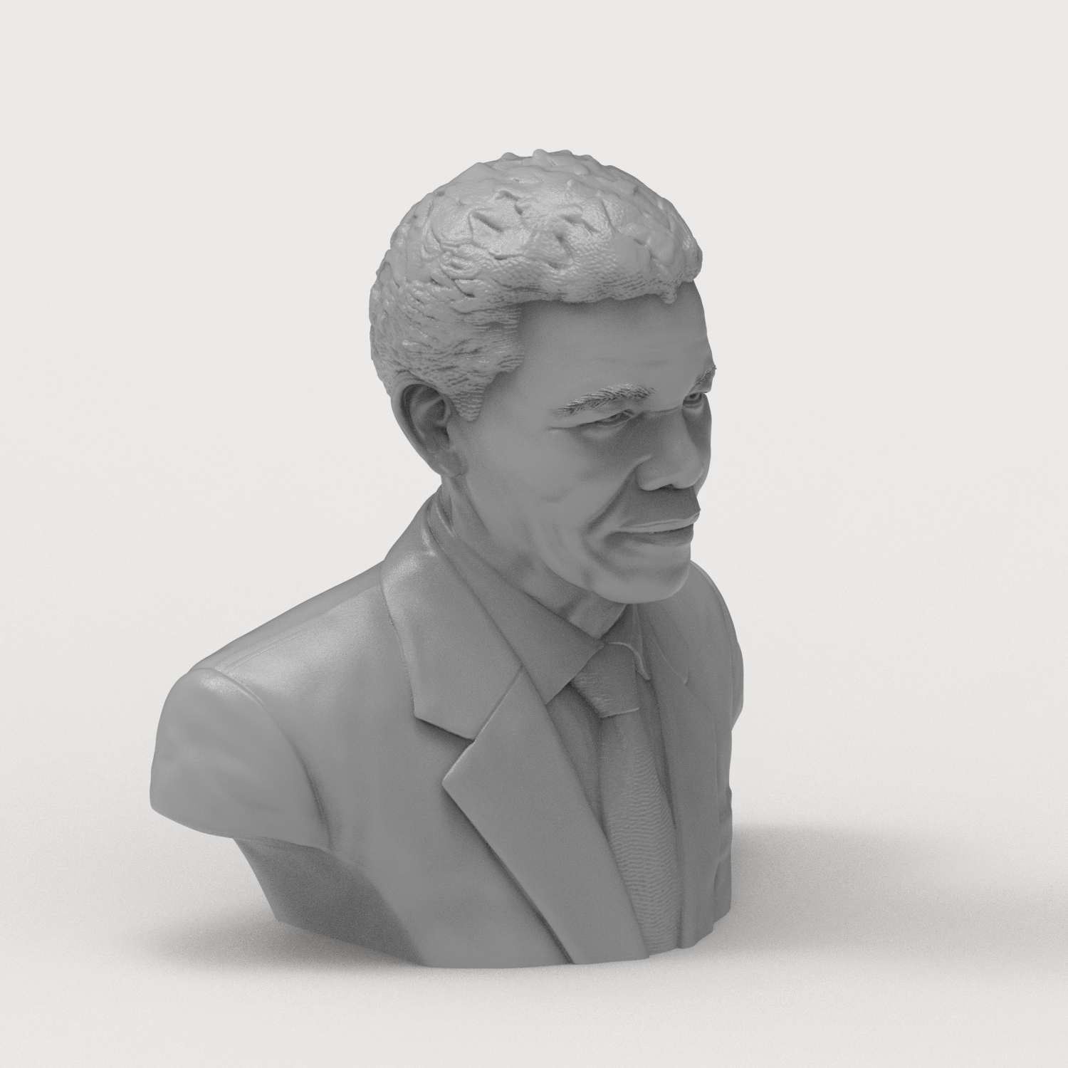 Nelson Mandela Bust 3D Model