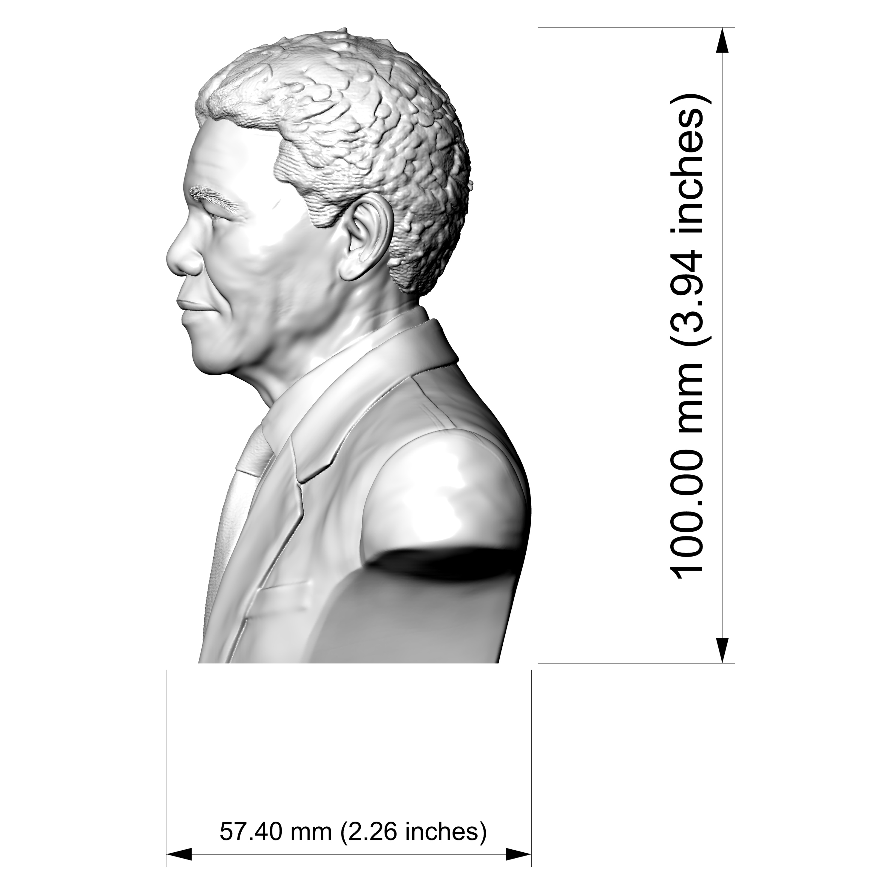 Nelson Mandela Bust 3D Model