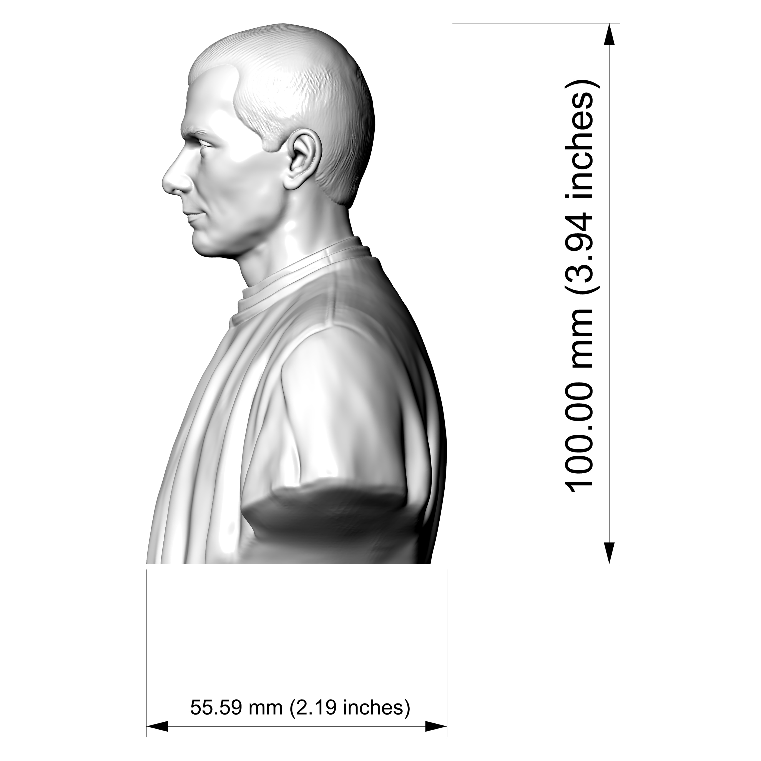 Niccol&ograve Machiavelli Bust 3D Printable 3D Model