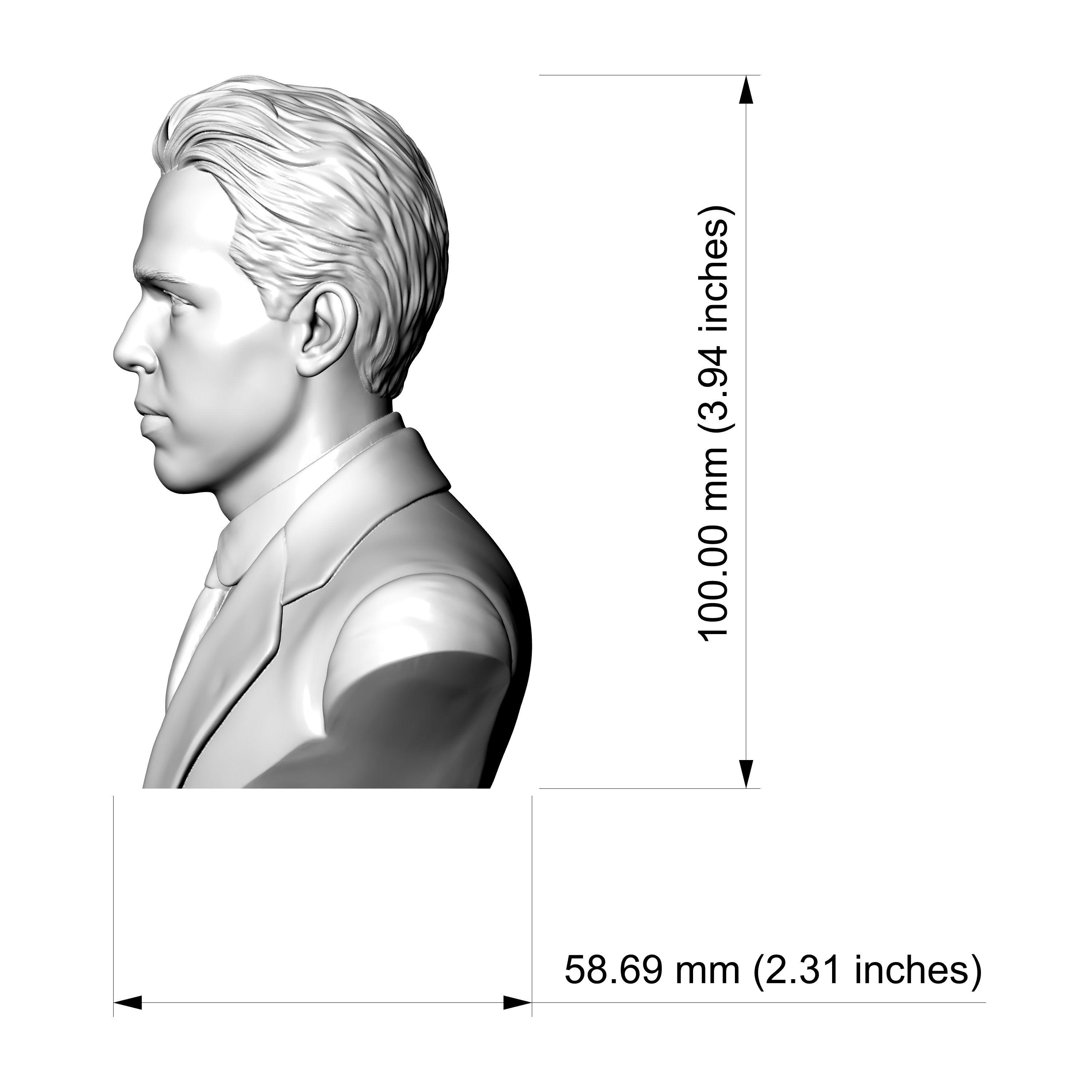 Niels Bohr 3d Printable Bust 3D Model