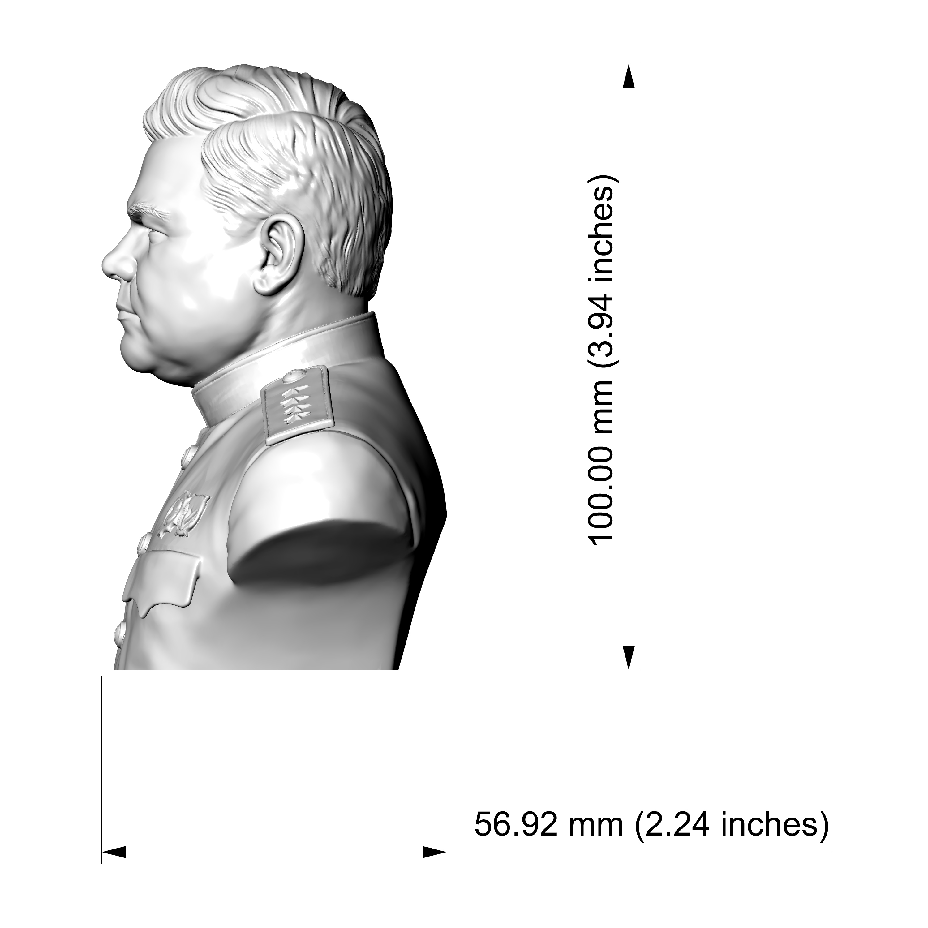 Nikolai Vatutin 3D Printable Bust 3D Model